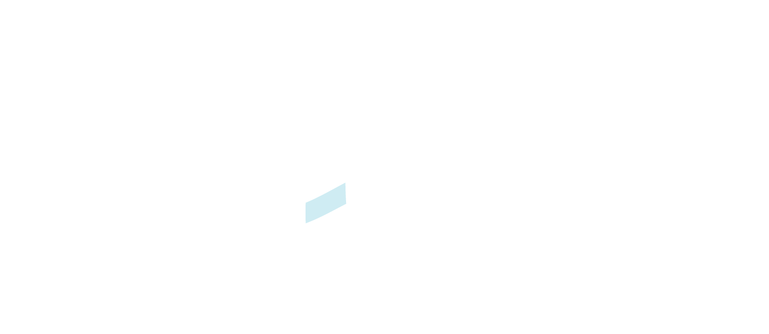 The Bay 2024 Annual Report 