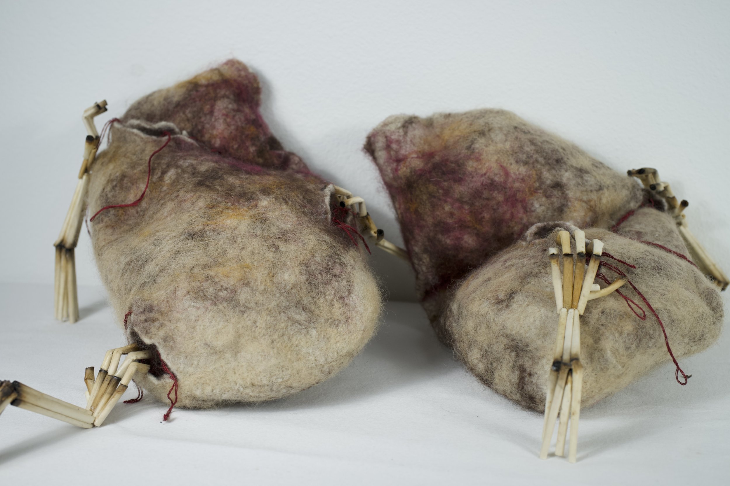 I Don't Sing, but My Lungs Sure Do, 2024