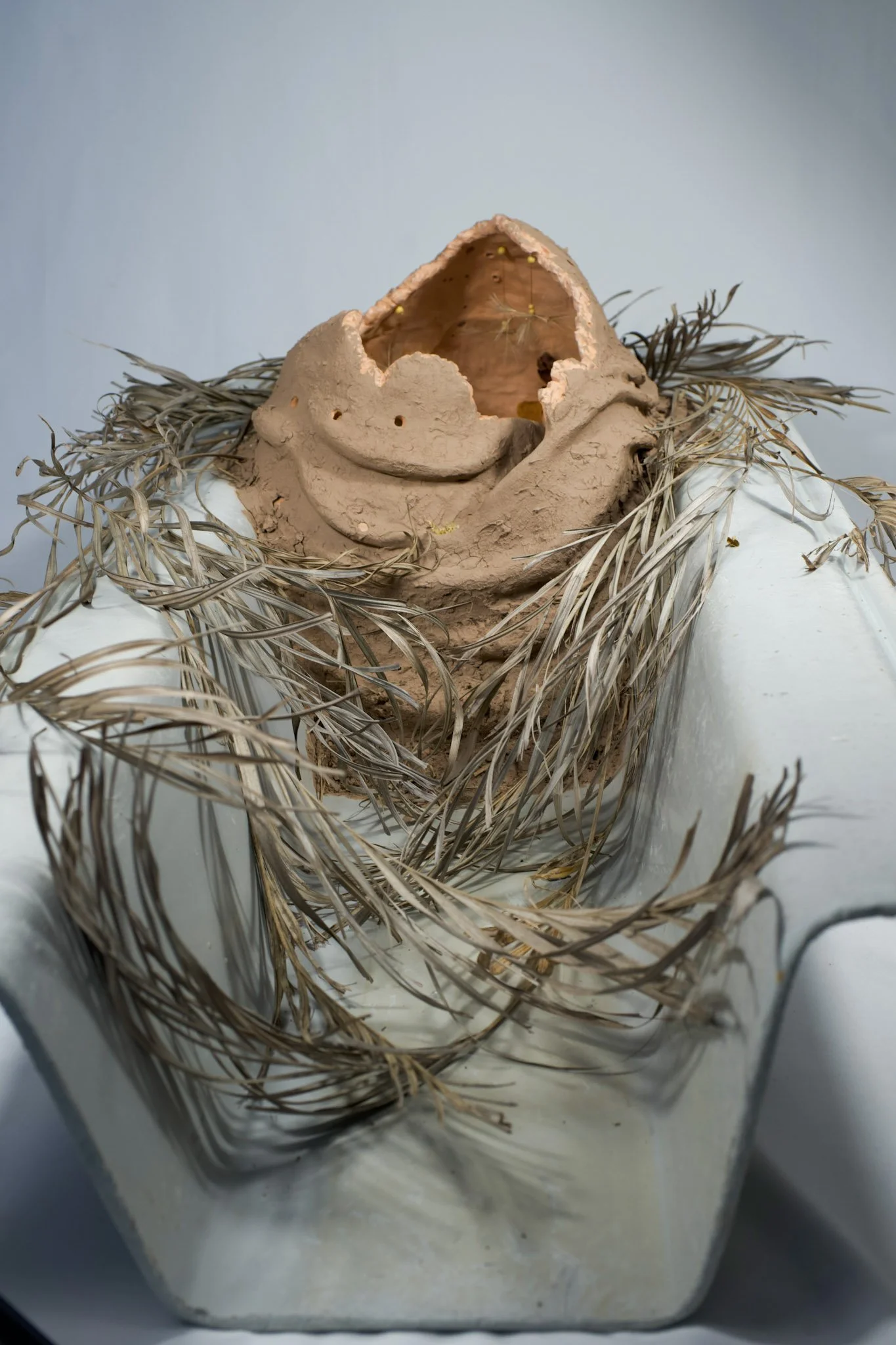 Refúgio: Matriarca de Barro, 2026