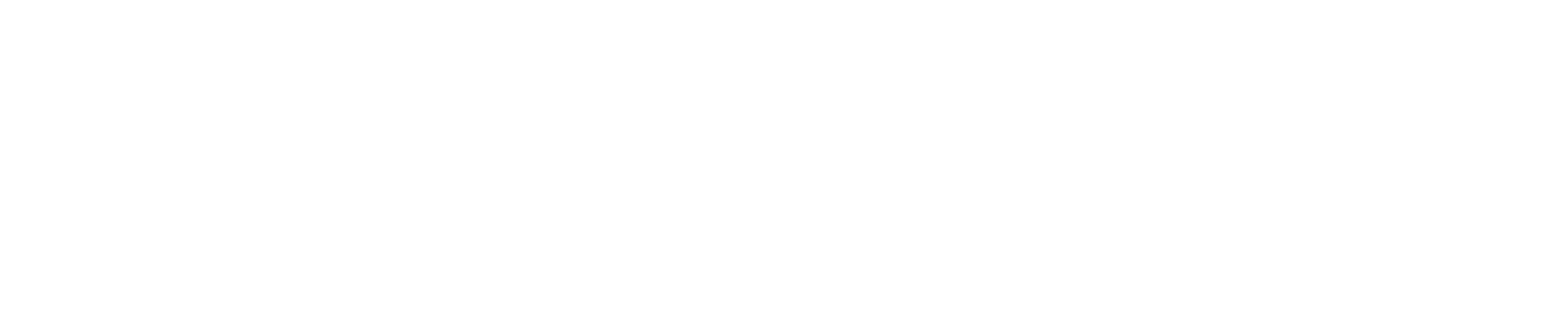 TAVA Group