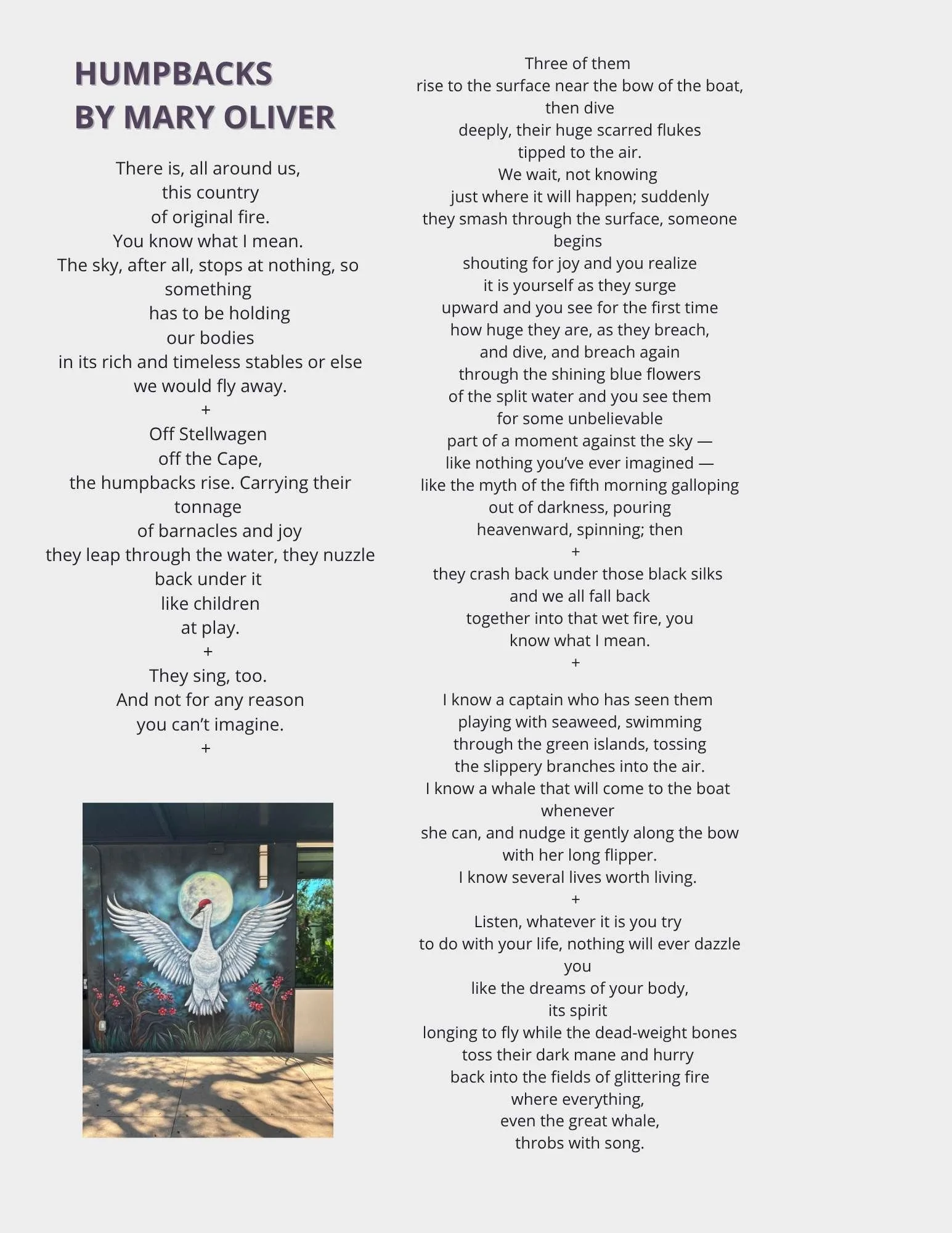 Sunday November 9, 2025 Page 2