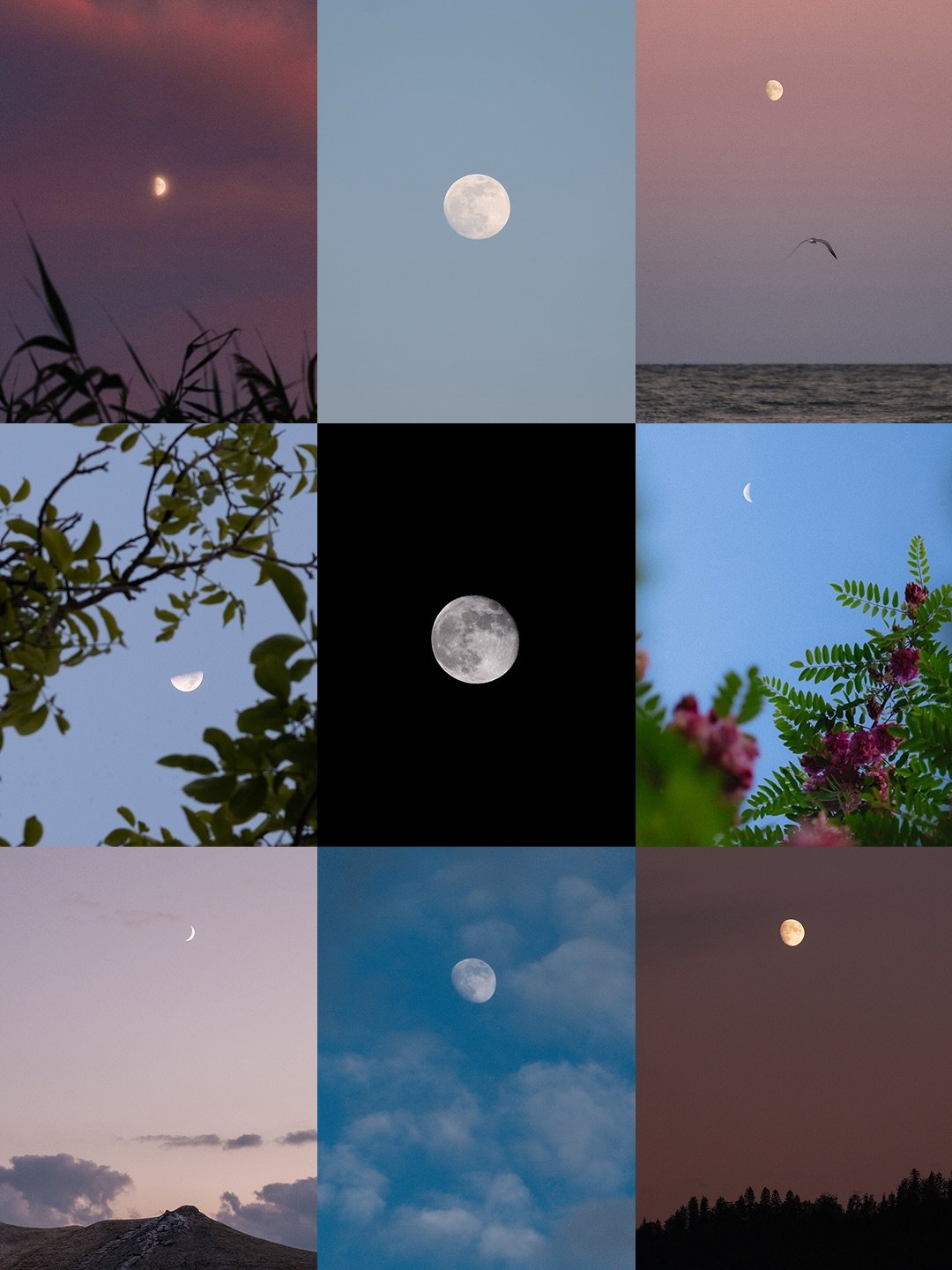 A little compilation of 🌙 shots I&rsquo;ve taken over the years ❤️

My Lightroom was so painfully slow that I lost my patience halfway through 😂

Which one is your favourite?