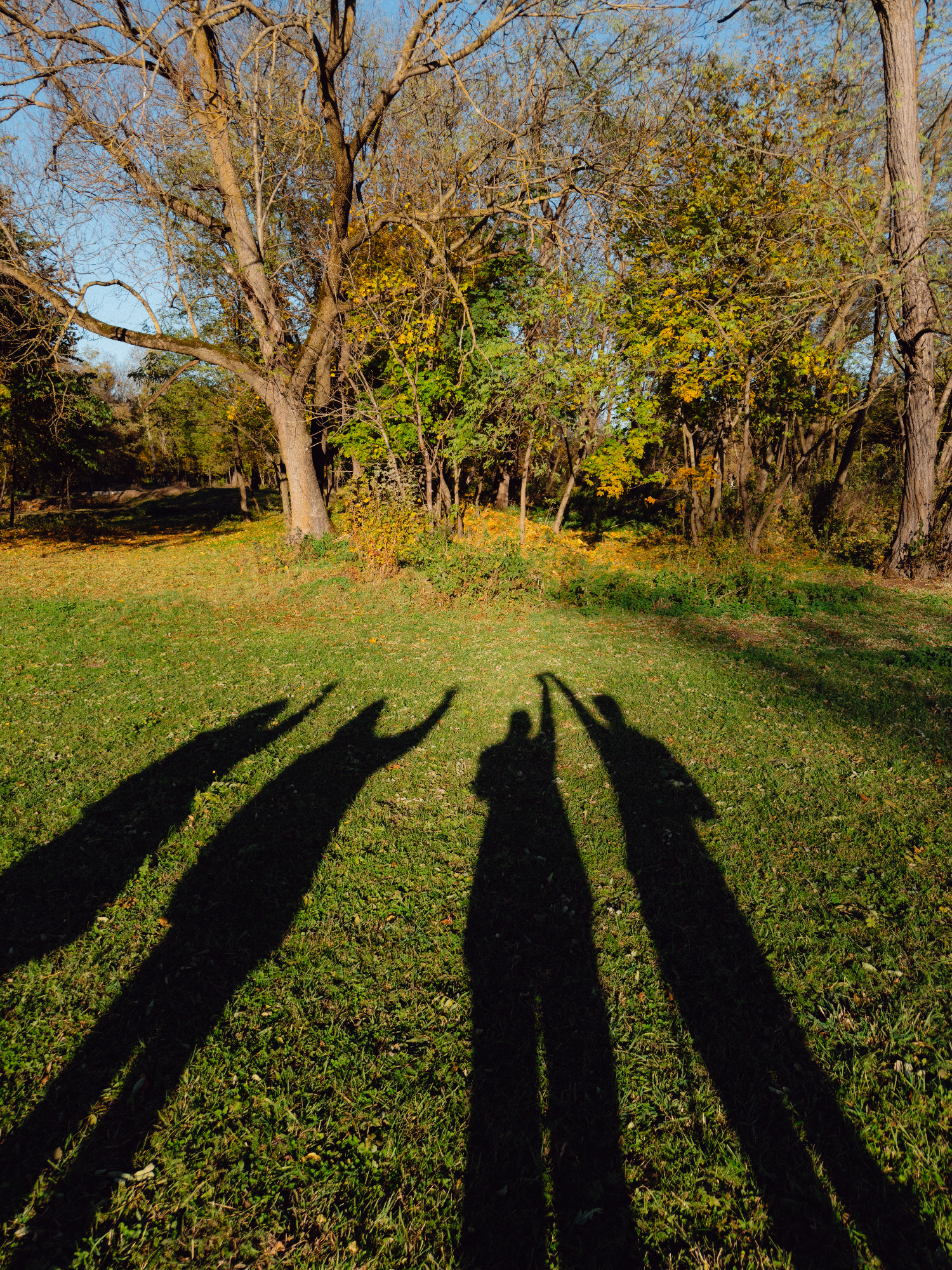 group of people, only their shadows visible on the grassy ground