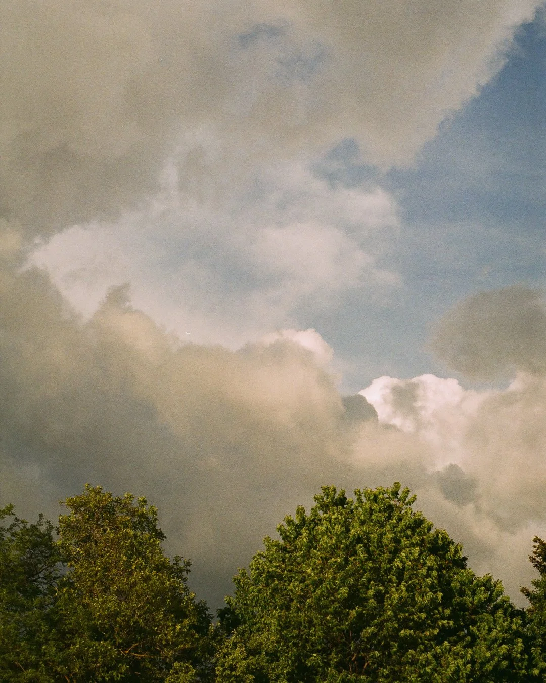 film photography of Cloudy sky with patches of blue and green trees at the bottom