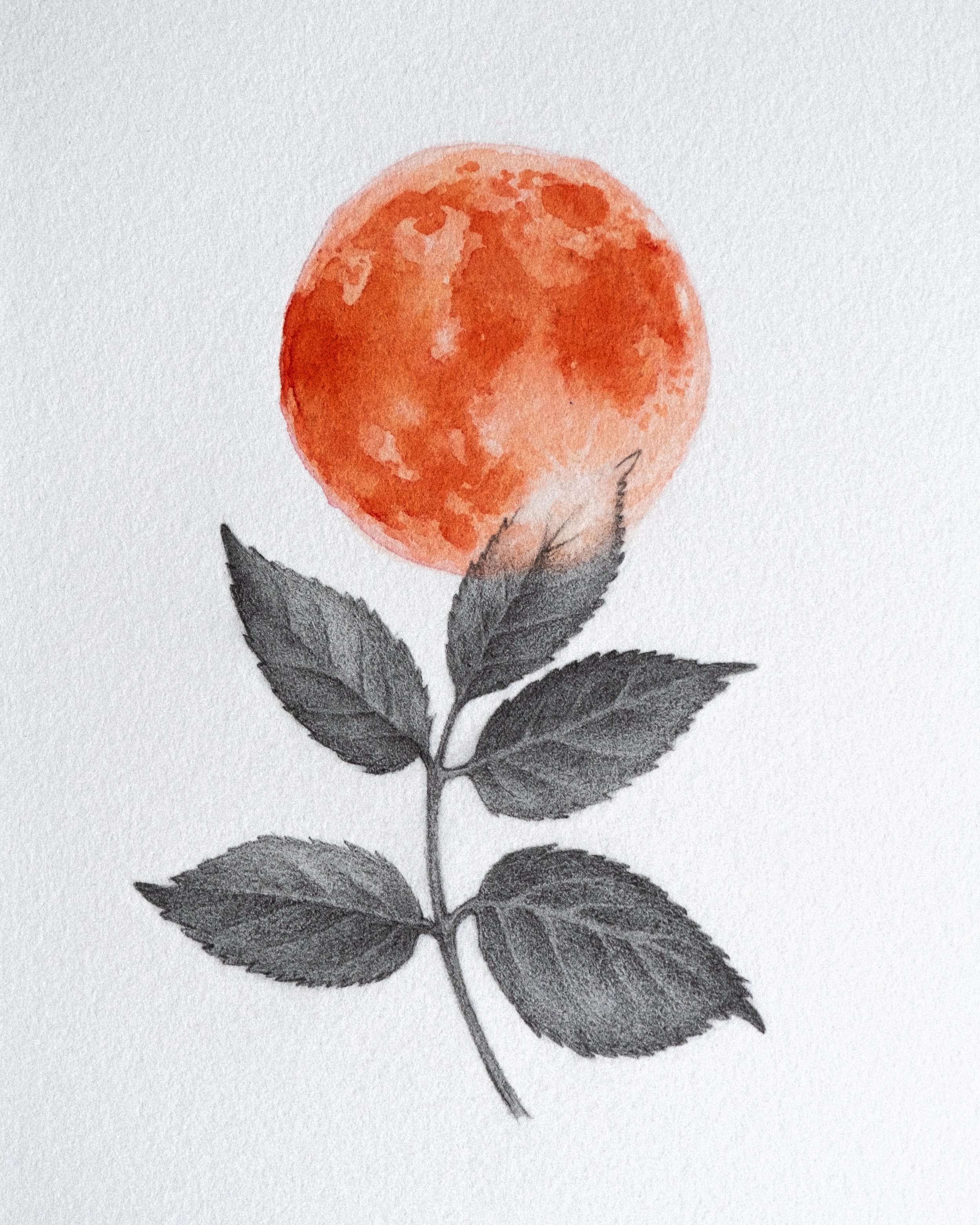 Watercolor painting of a red-orange moon above a graphite drawing of a leafy branch.