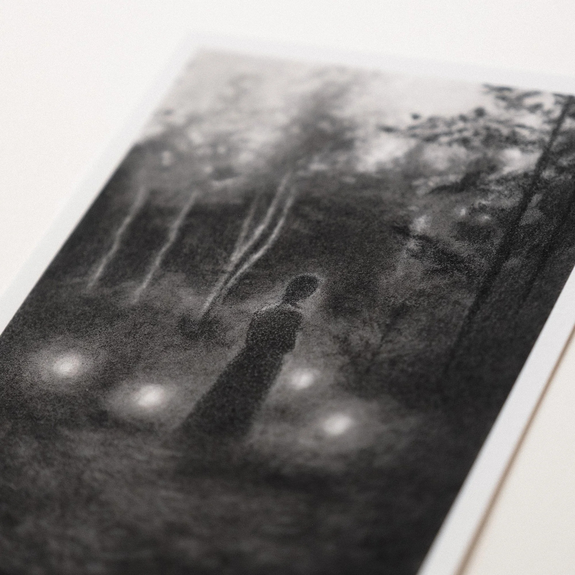 Intimate forest artwork filled with quiet wonder, suggesting the feeling of being in the right place at the right time as nature reveals a hidden secret.