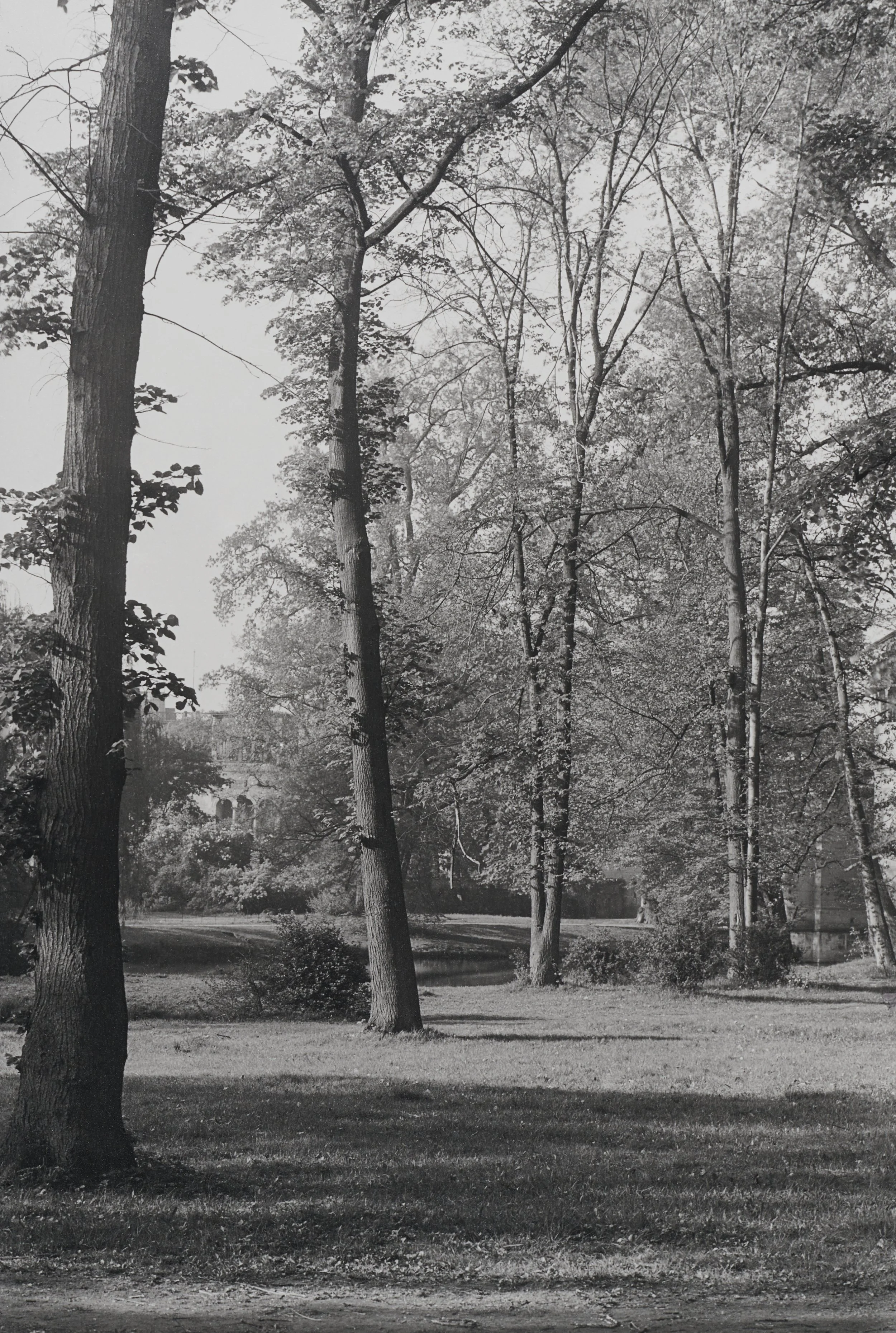Sanssouci, Potsdam, 1948.jpg