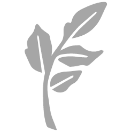 Gray silhouette of a small leafy plant with a few leaves on a black background.