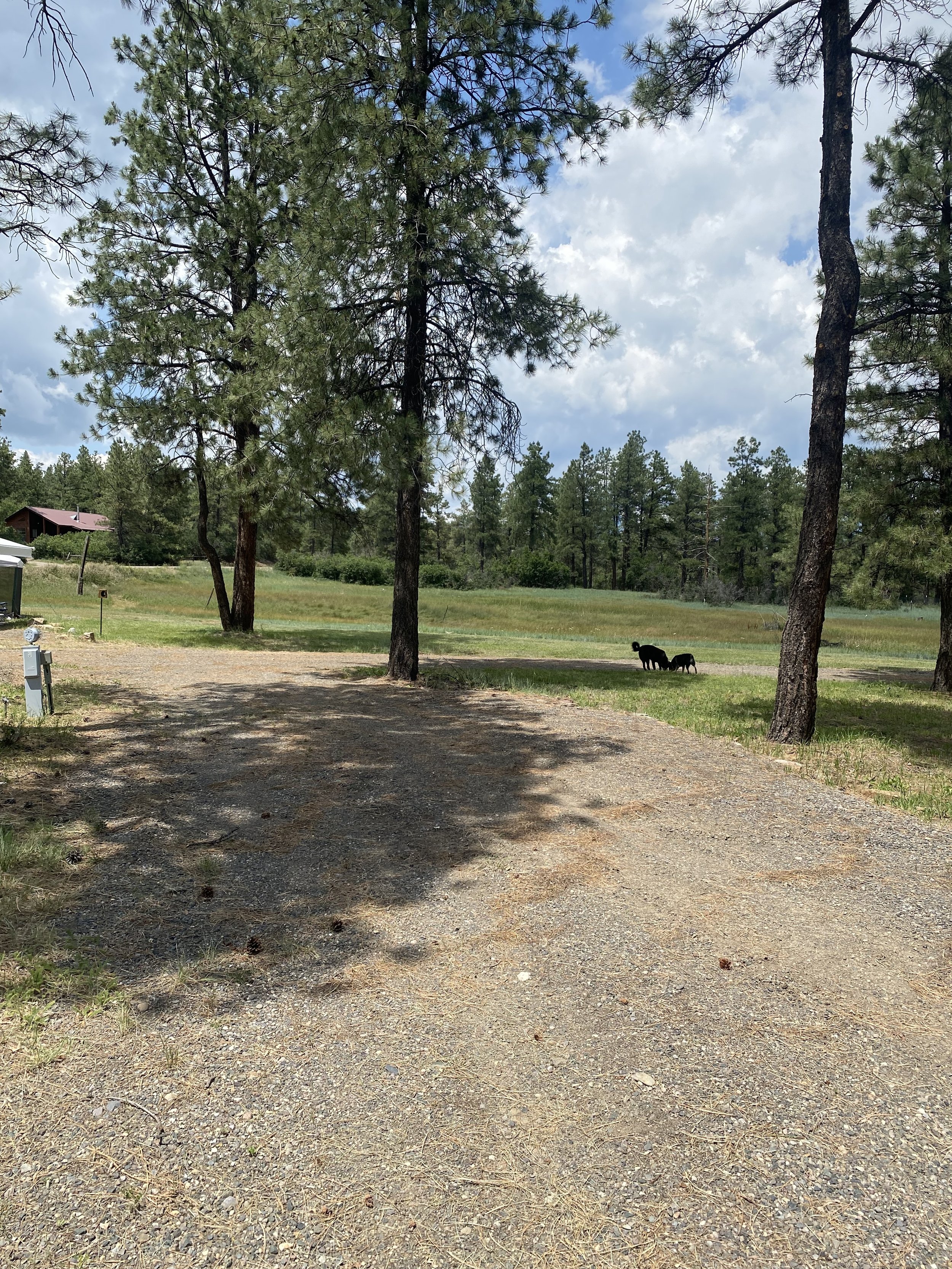 RV site at Basecamp Pagosa.