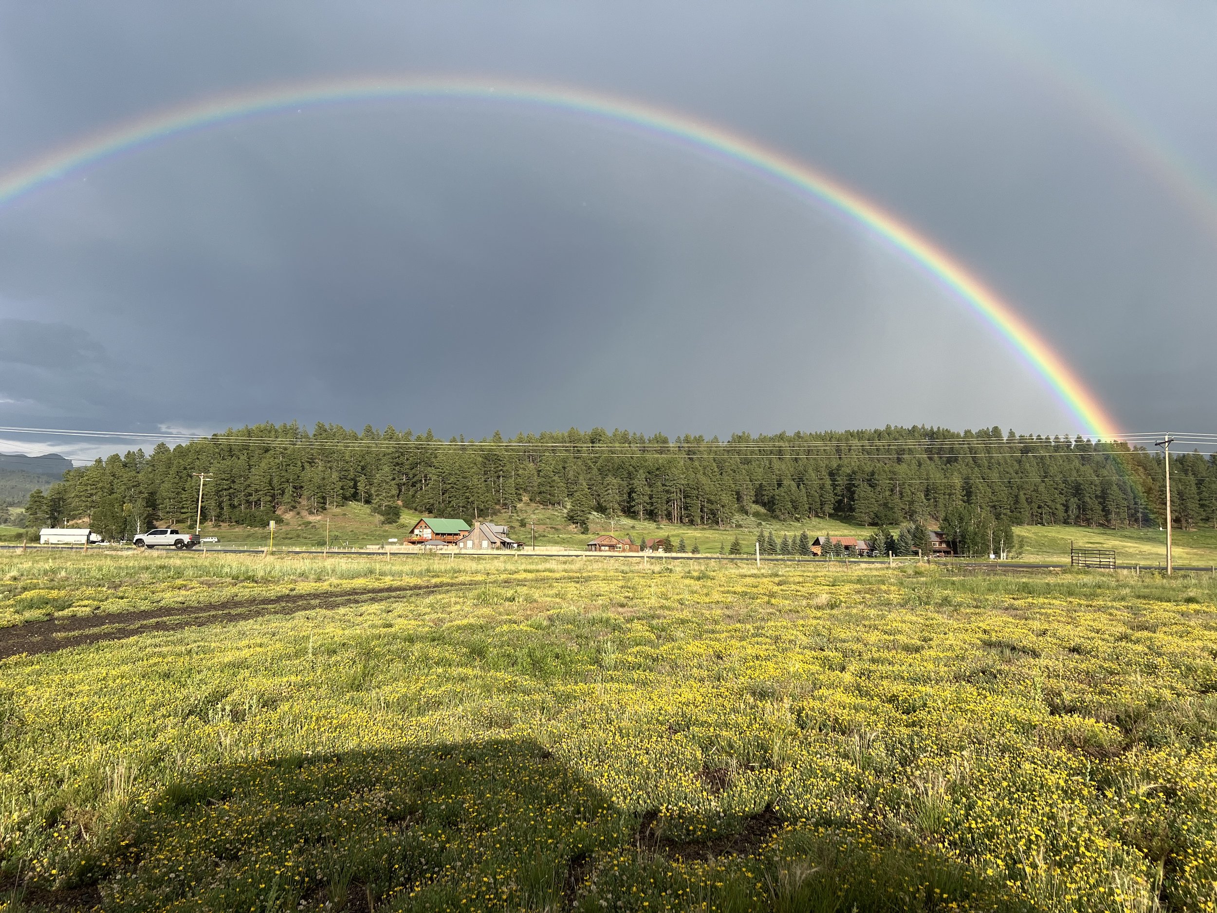 Rainbow after an afternoon shower in Pagosa.