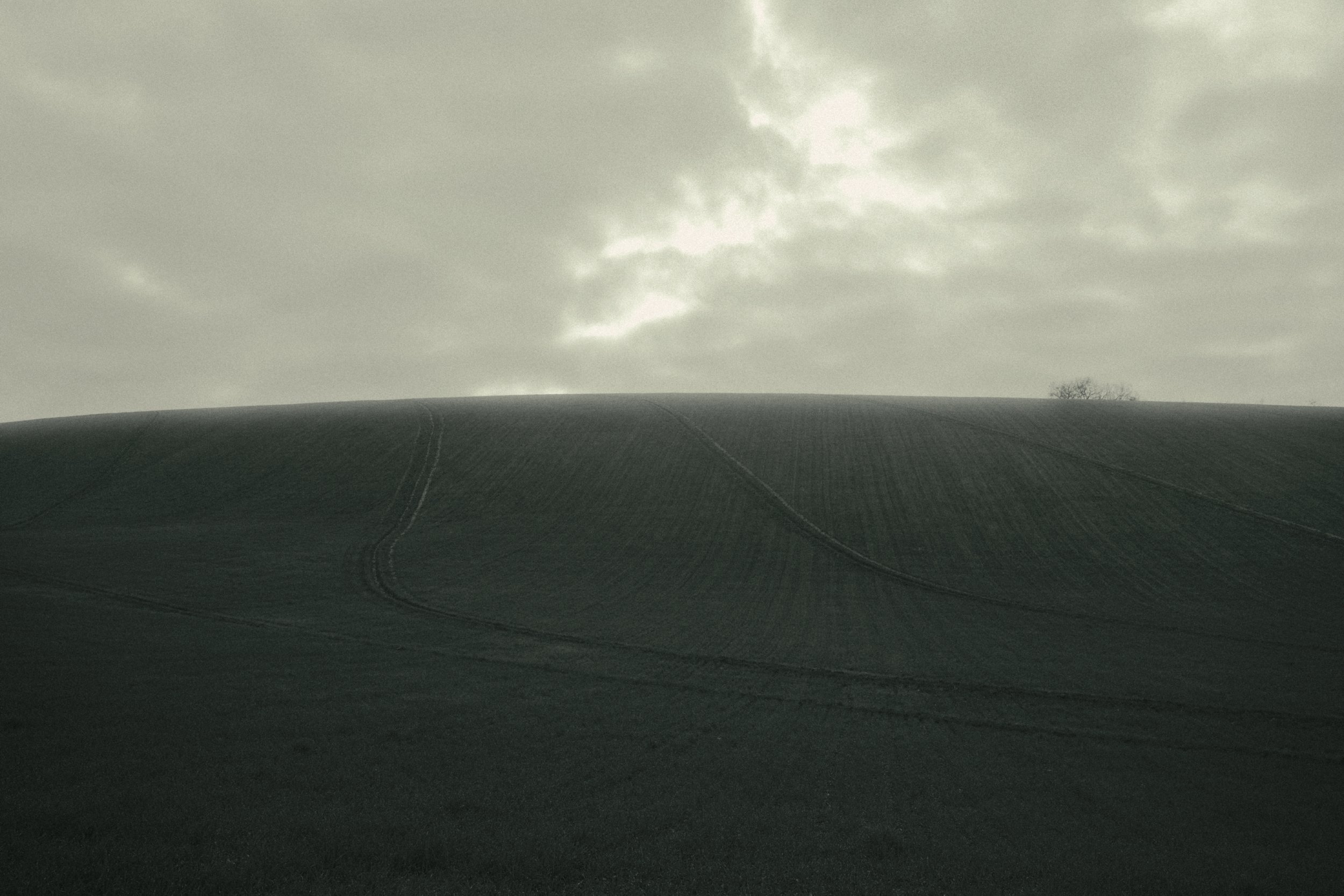 Untitled_1.13.1.jpg