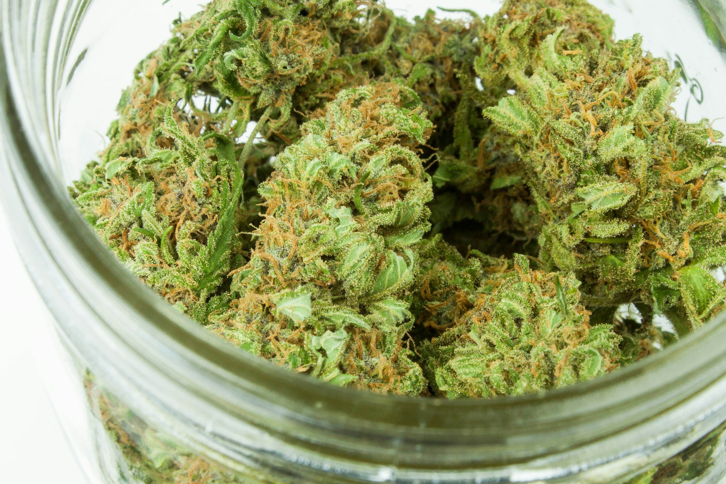 Why Parkinson's Patients Are Asking Bigger Questions About Cannabis