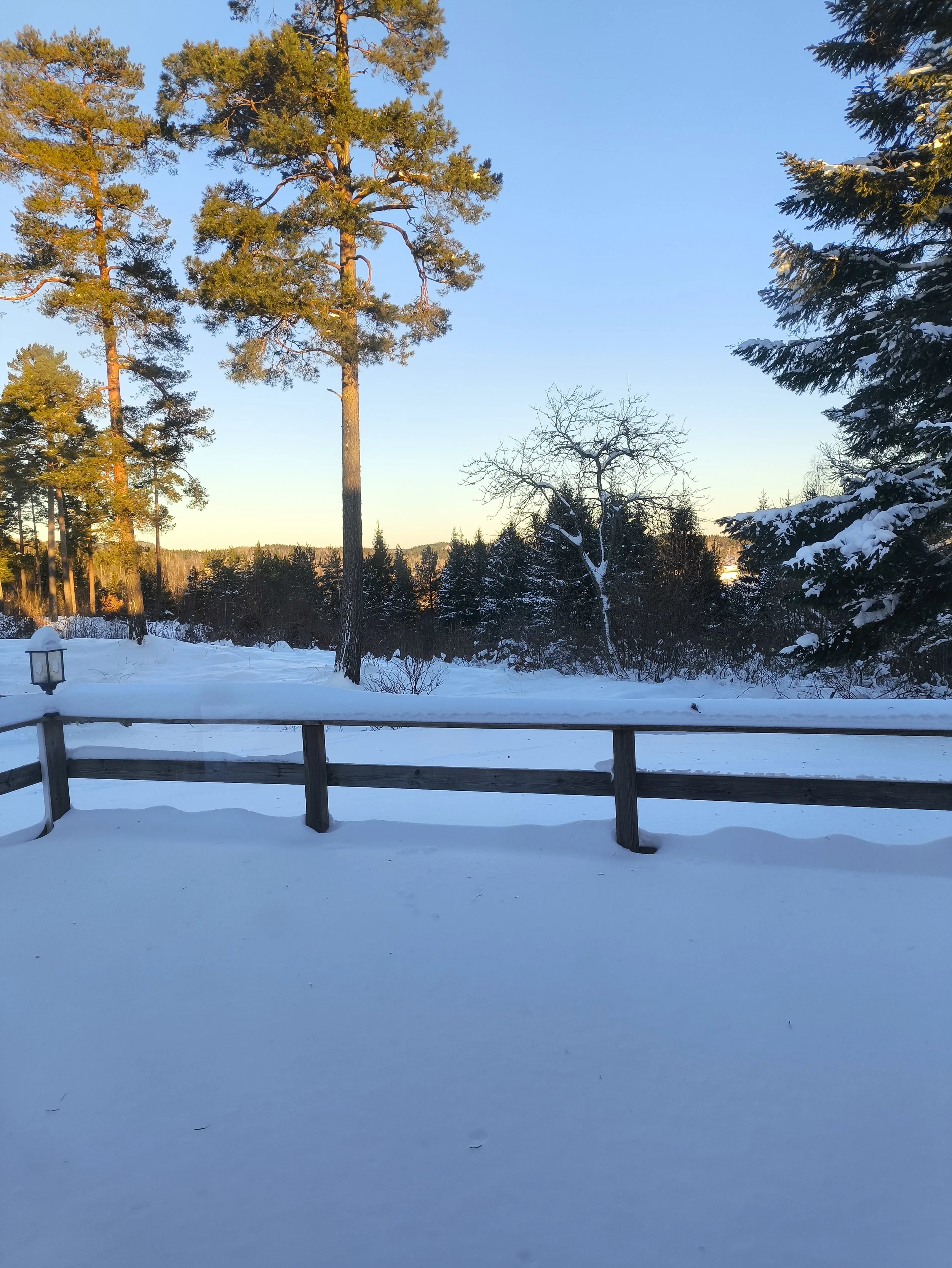 Snow-covered patio with a wooden railing, tall trees in the background, and a clear blue sky with the sun setting.