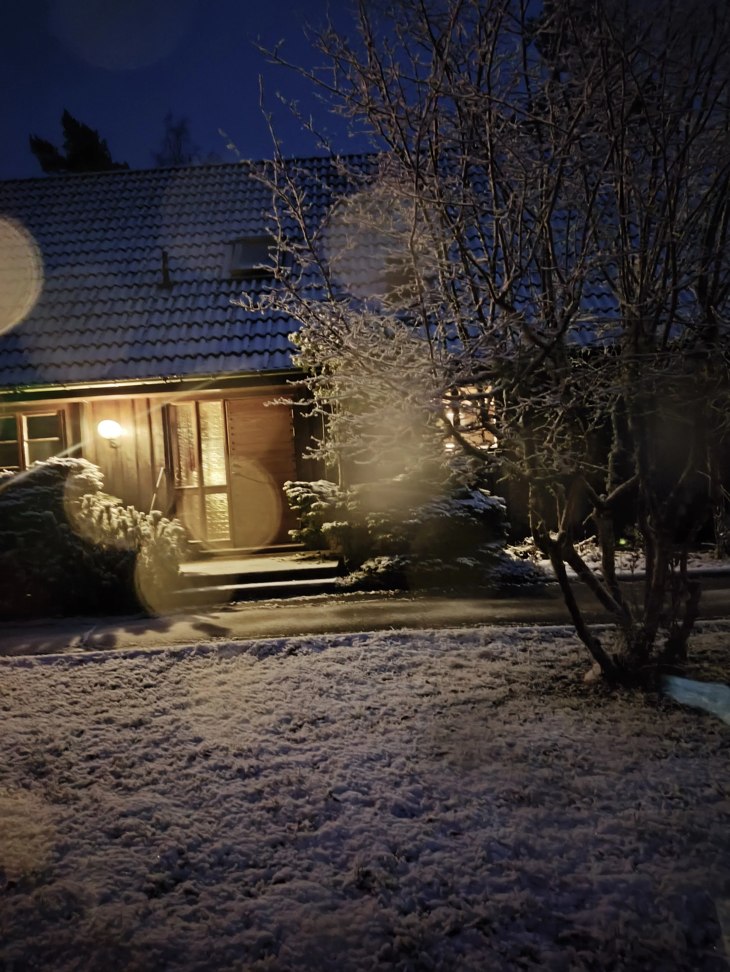 Nighttime scene of a snow-covered house with a tiled roof, illuminated by exterior lights. There are snow-covered trees and shrubs in the yard, with a dark sky and visible moon in the background.