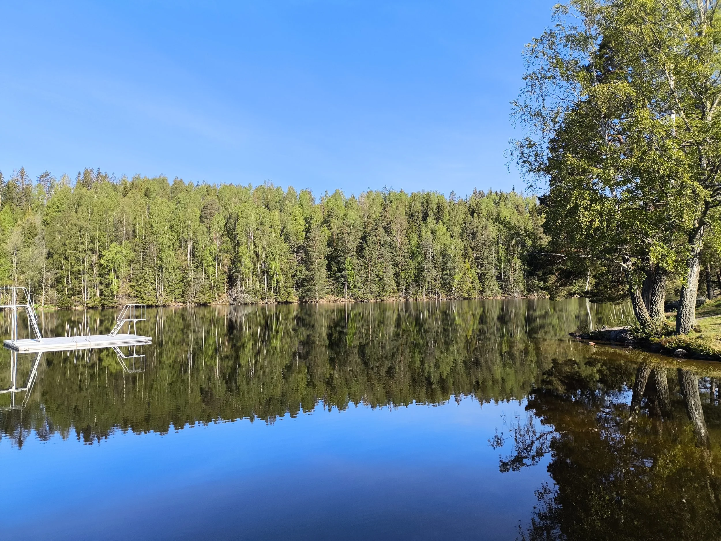 A scenic view of a calm lake reflecting green trees and a clear blue sky, with metal boat docks on the left side and a grassy area on the right.