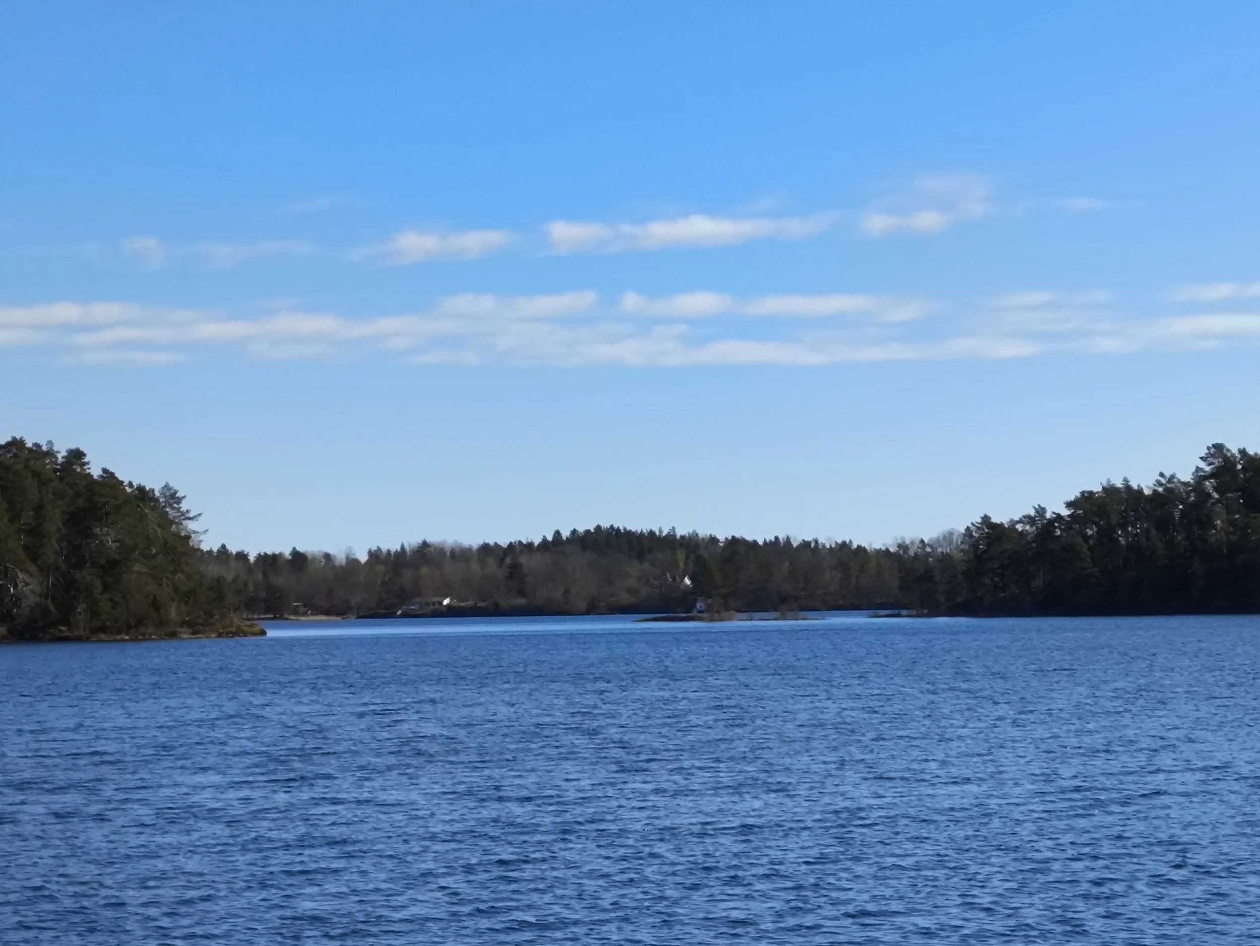 A large body of water with a forested shoreline and hills in the background against a blue sky with scattered clouds.