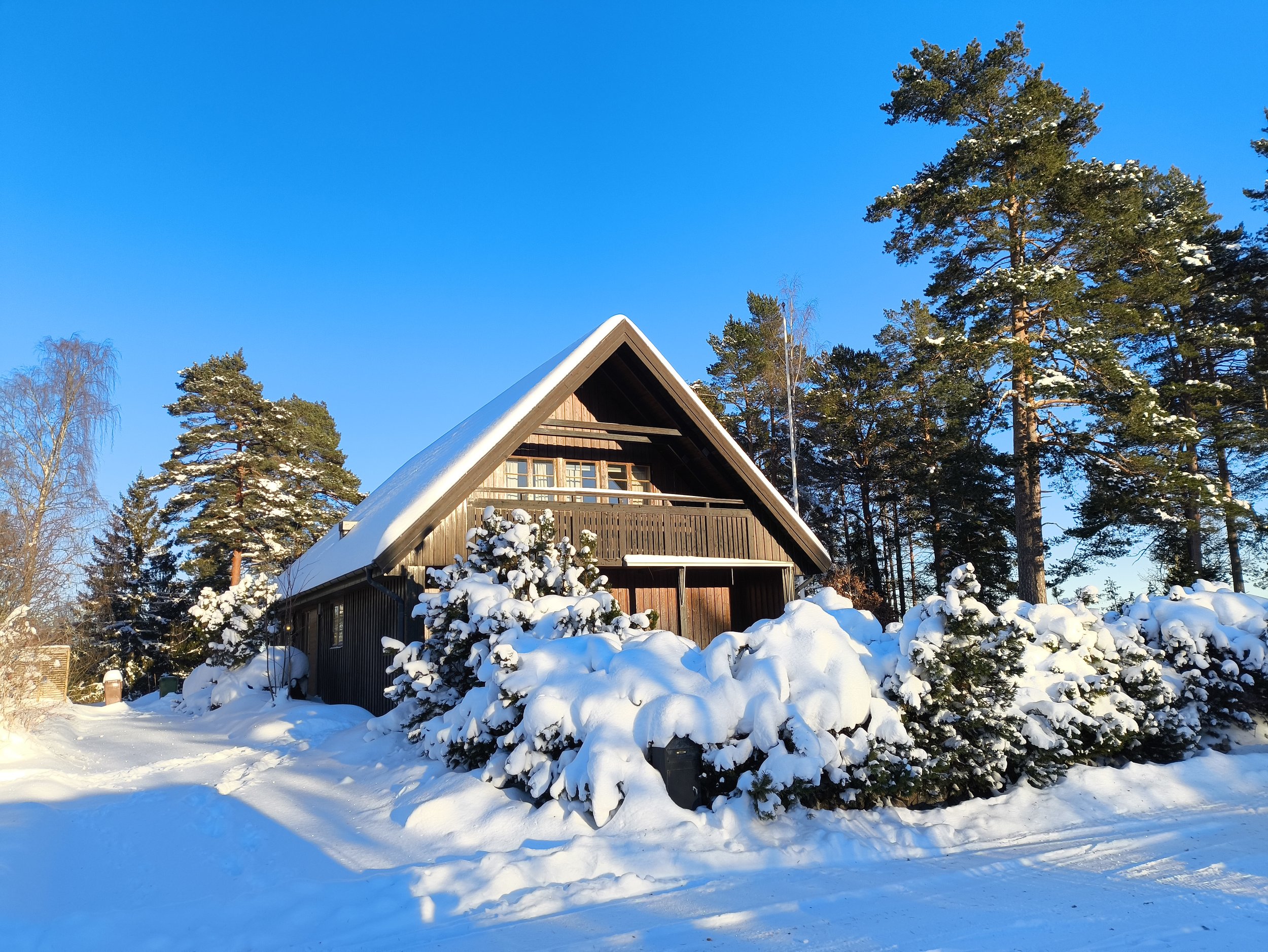 A snowy scene outside a wooden cabin with steep roof, surrounded by snow-covered trees and bushes, under a clear blue sky.