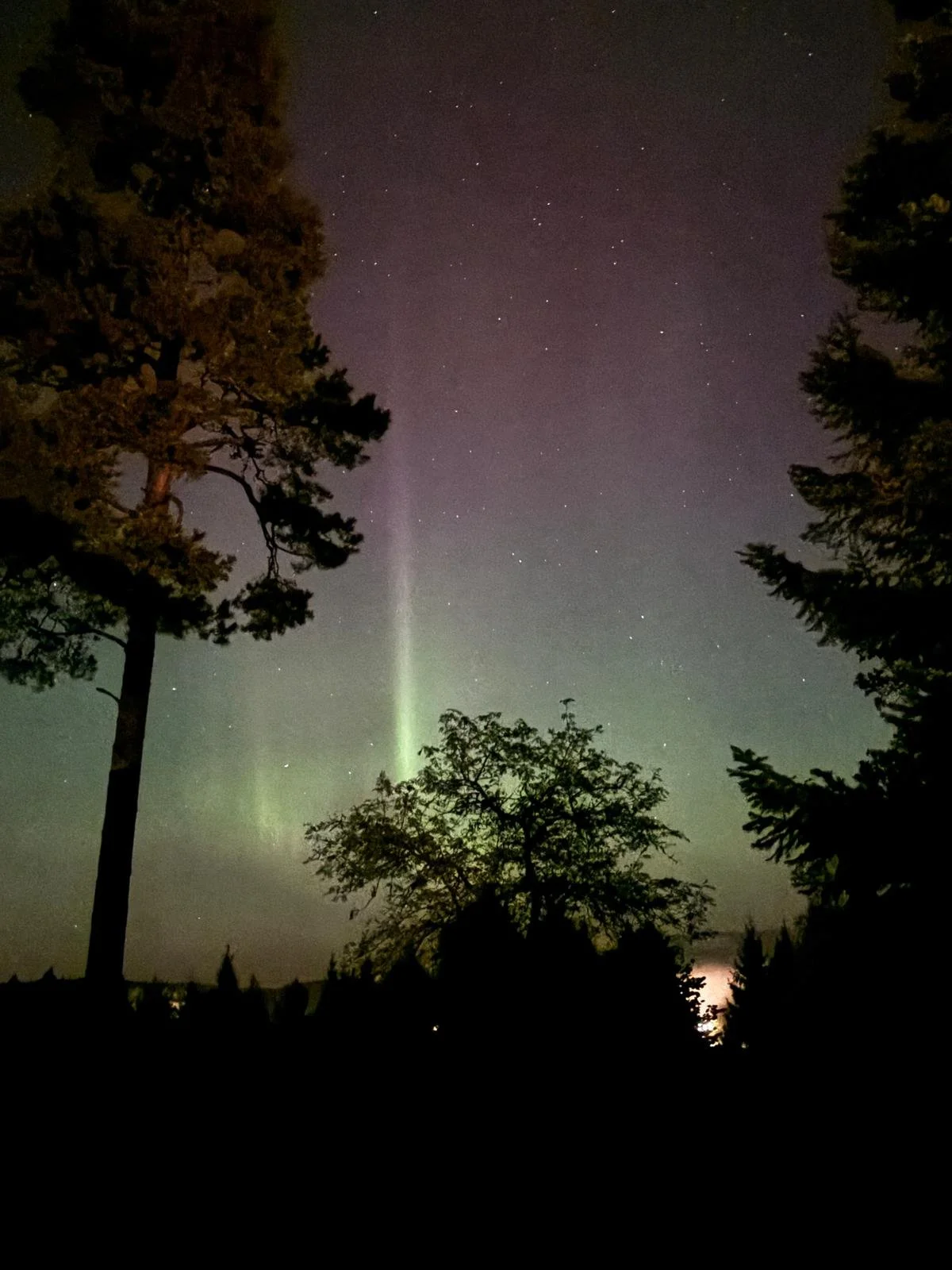 Night sky with stars, Quiet forest and lakeside scenery near West Cottage Sweden in Åsensbruk, Dalsland.