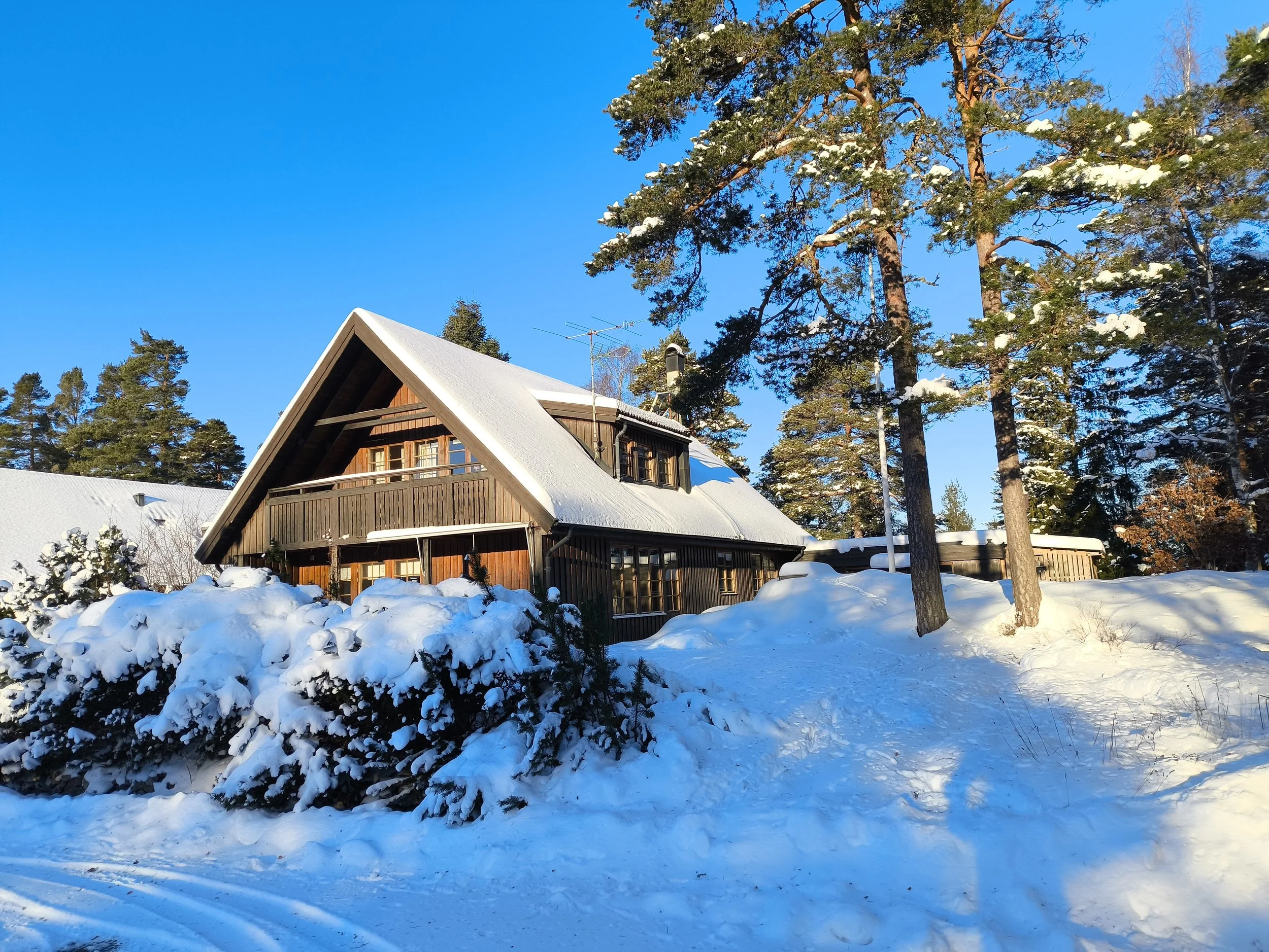 Lakeside holiday cottage in Åsensbruk, Dalsland with calm Scandinavian forest surroundingsn