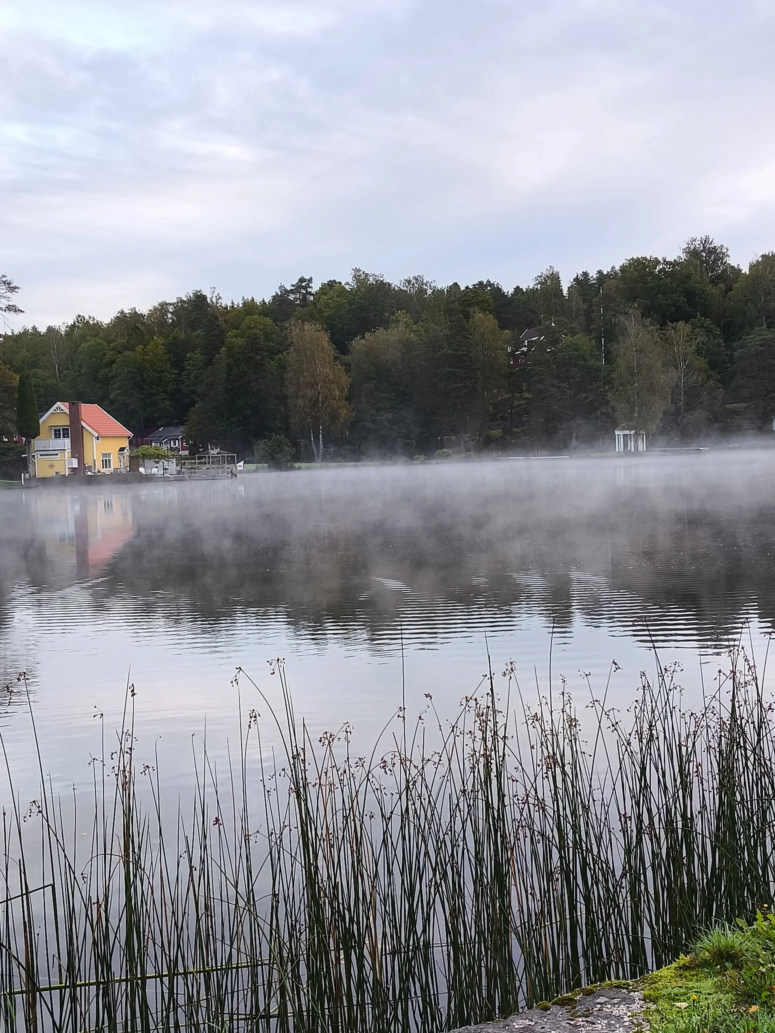 A scenic view of a calm lake with mist rising from the water's surface, surrounded by lush green trees and a few houses in the background under an overcast sky.