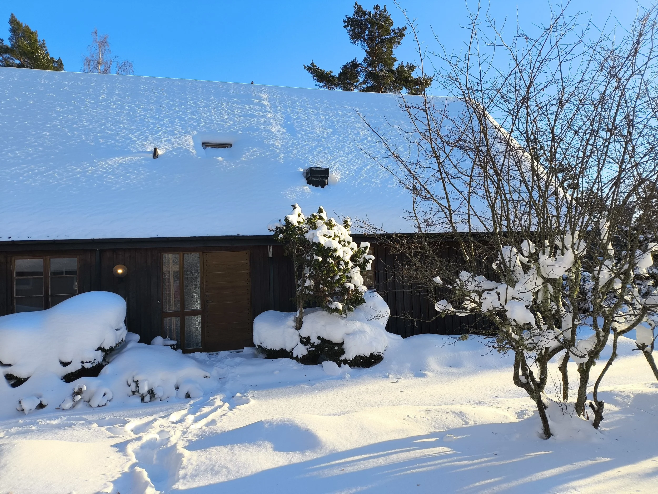 Scandinavian holiday cottage in Åsensbruk surrounded by quiet forest and lakes.
