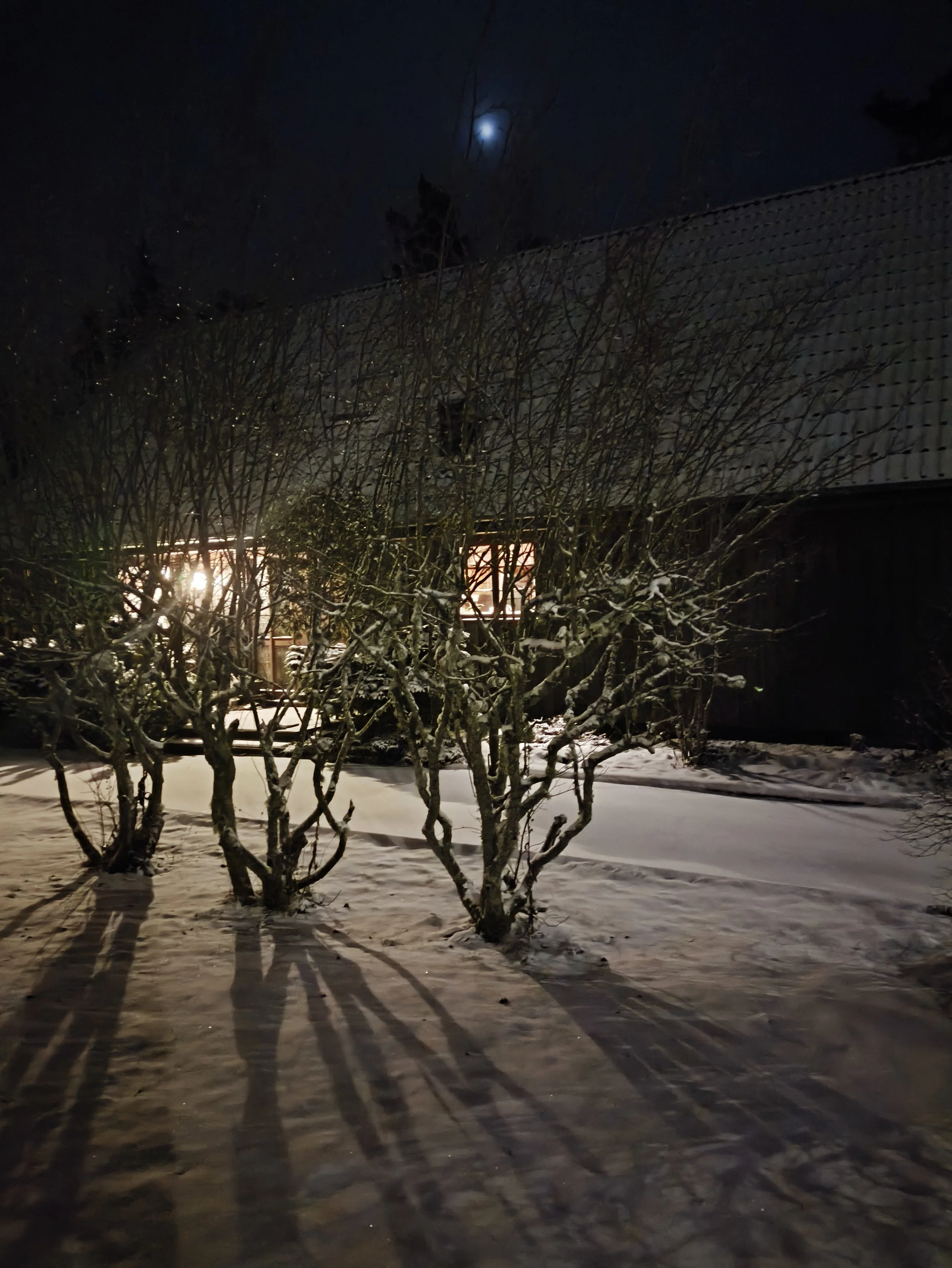 A snowy night scene showing leafless bushes and trees in front of a house with snow on the ground. The house has a warm light coming from a window, and the sky is dark with a glimpse of the moon visible through clouds. West Cottage, Åsensbruk
