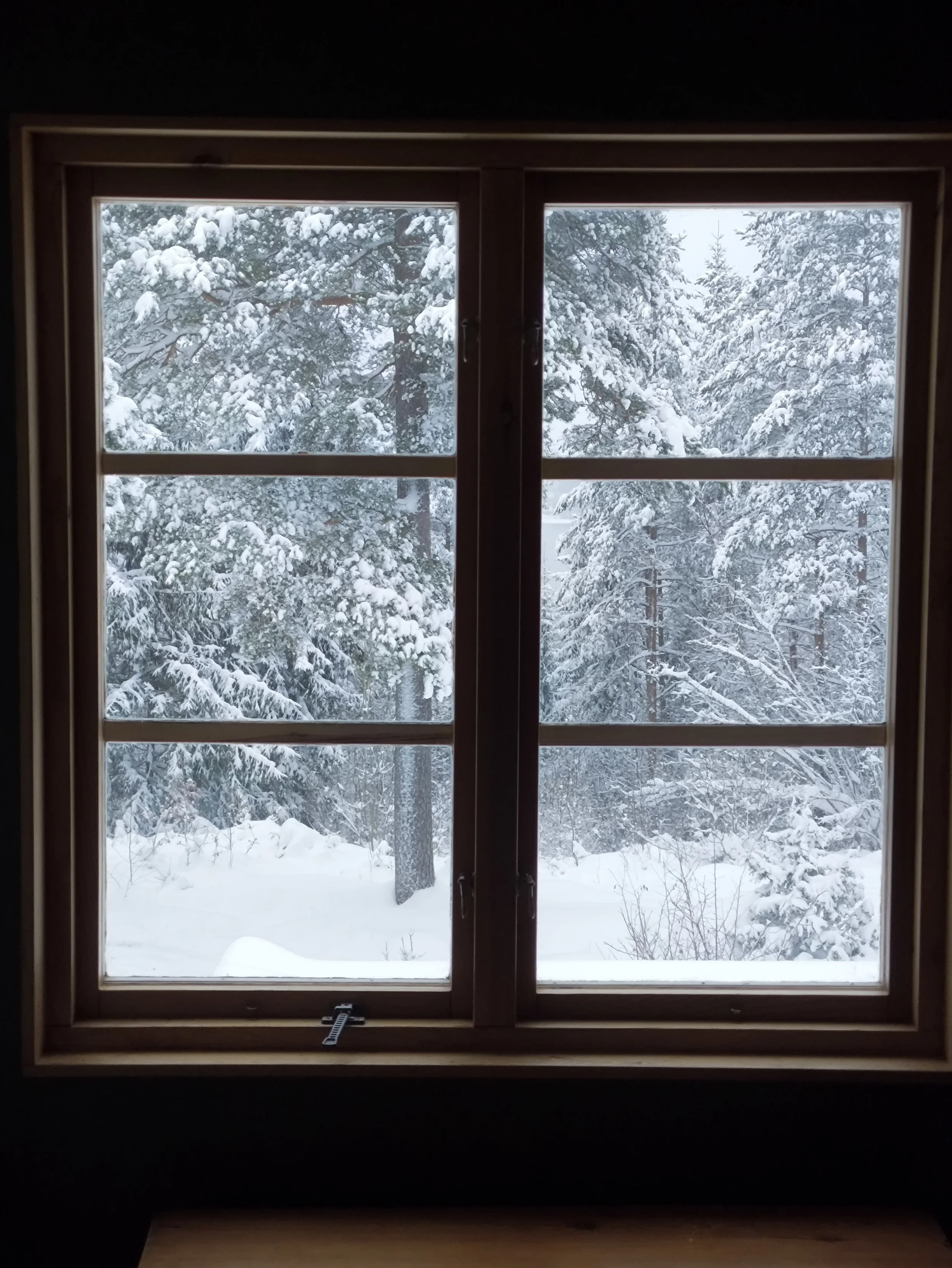 Snow-covered trees seen through a wooden-framed window from indoors. West Cottage, Åsensbruk