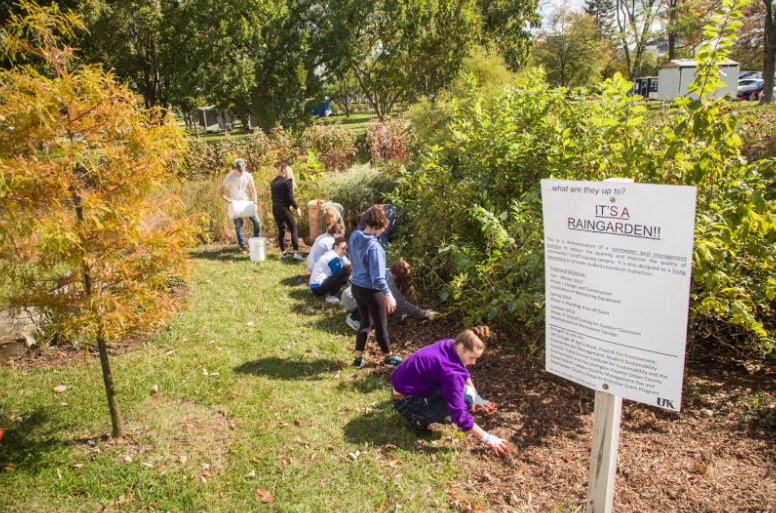 Using Nature to Combat Flooding in Appalachia