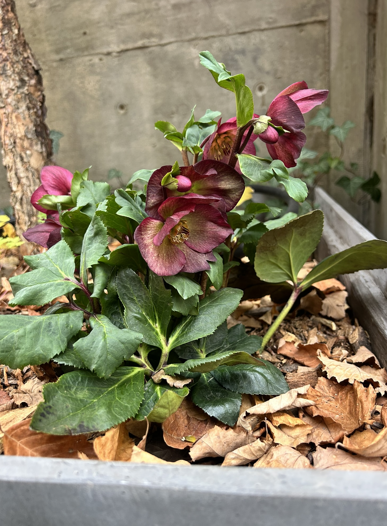 Screenshot 2026-03-05 at 6.13.09 PM.png