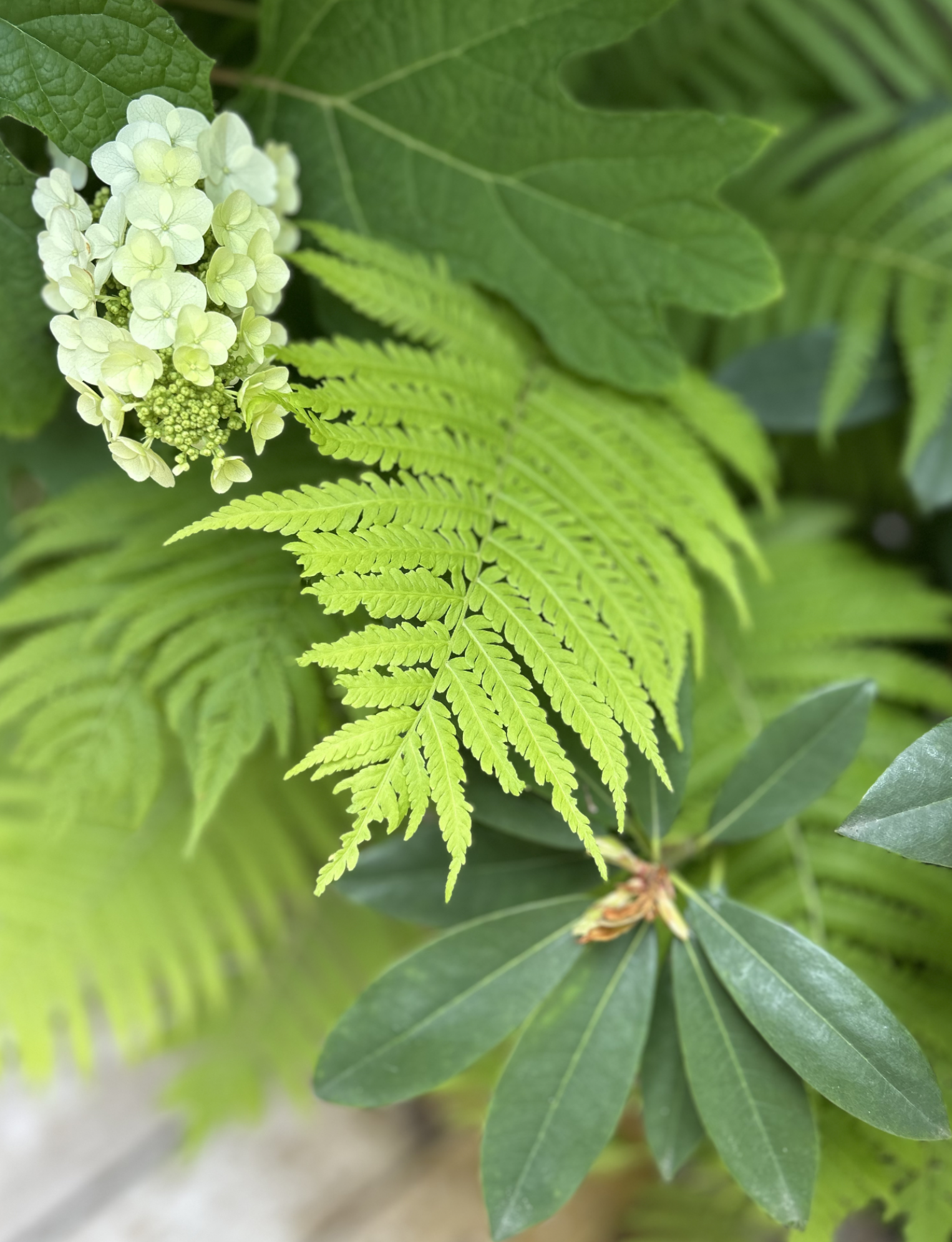 Screenshot 2026-03-05 at 5.46.43 PM.png