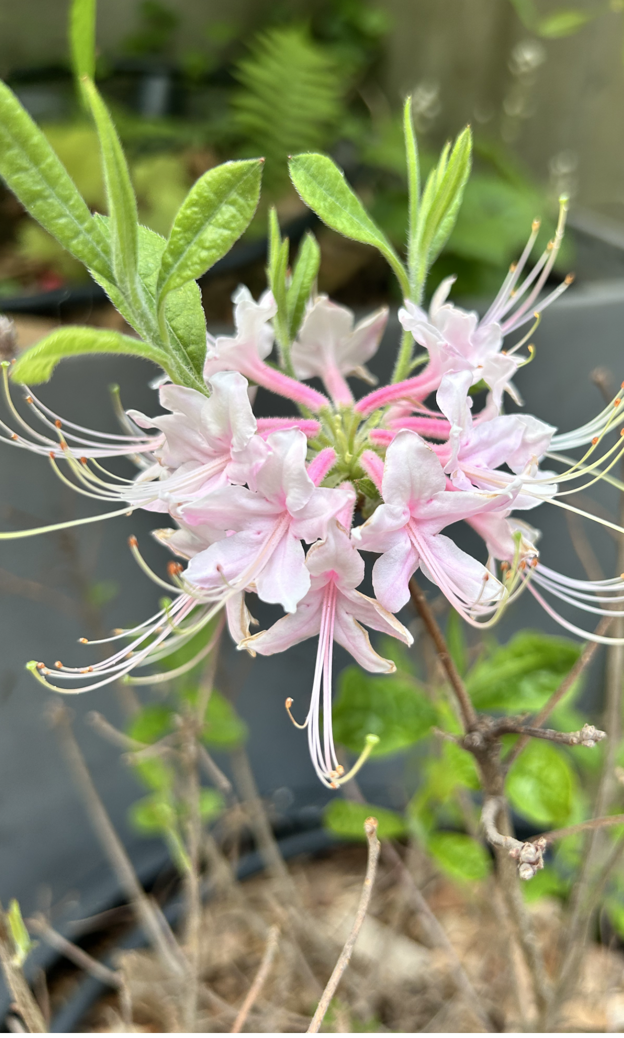 Screenshot 2026-03-05 at 6.04.33 PM.png