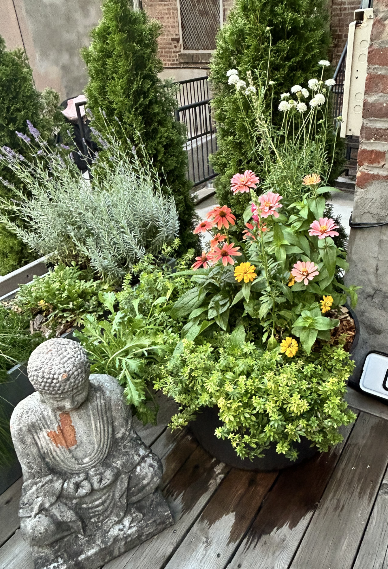 Screenshot 2026-03-05 at 5.44.15 PM.png