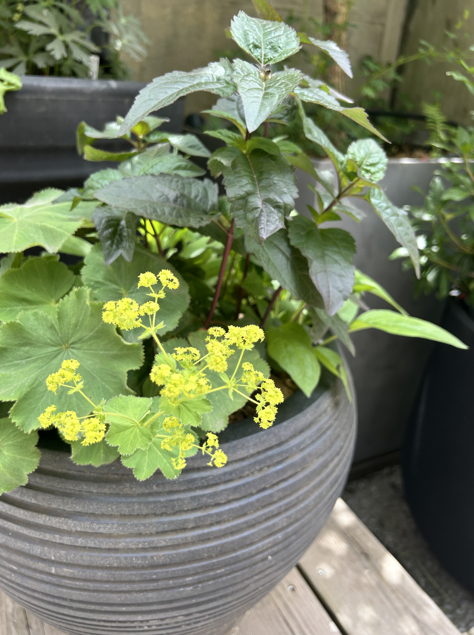 Screenshot 2026-03-05 at 5.47.56 PM.png