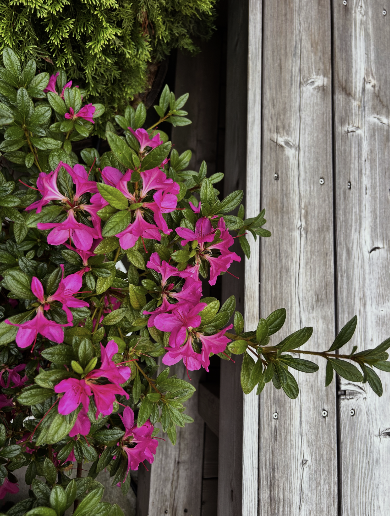 Screenshot 2026-03-05 at 6.06.34 PM.png