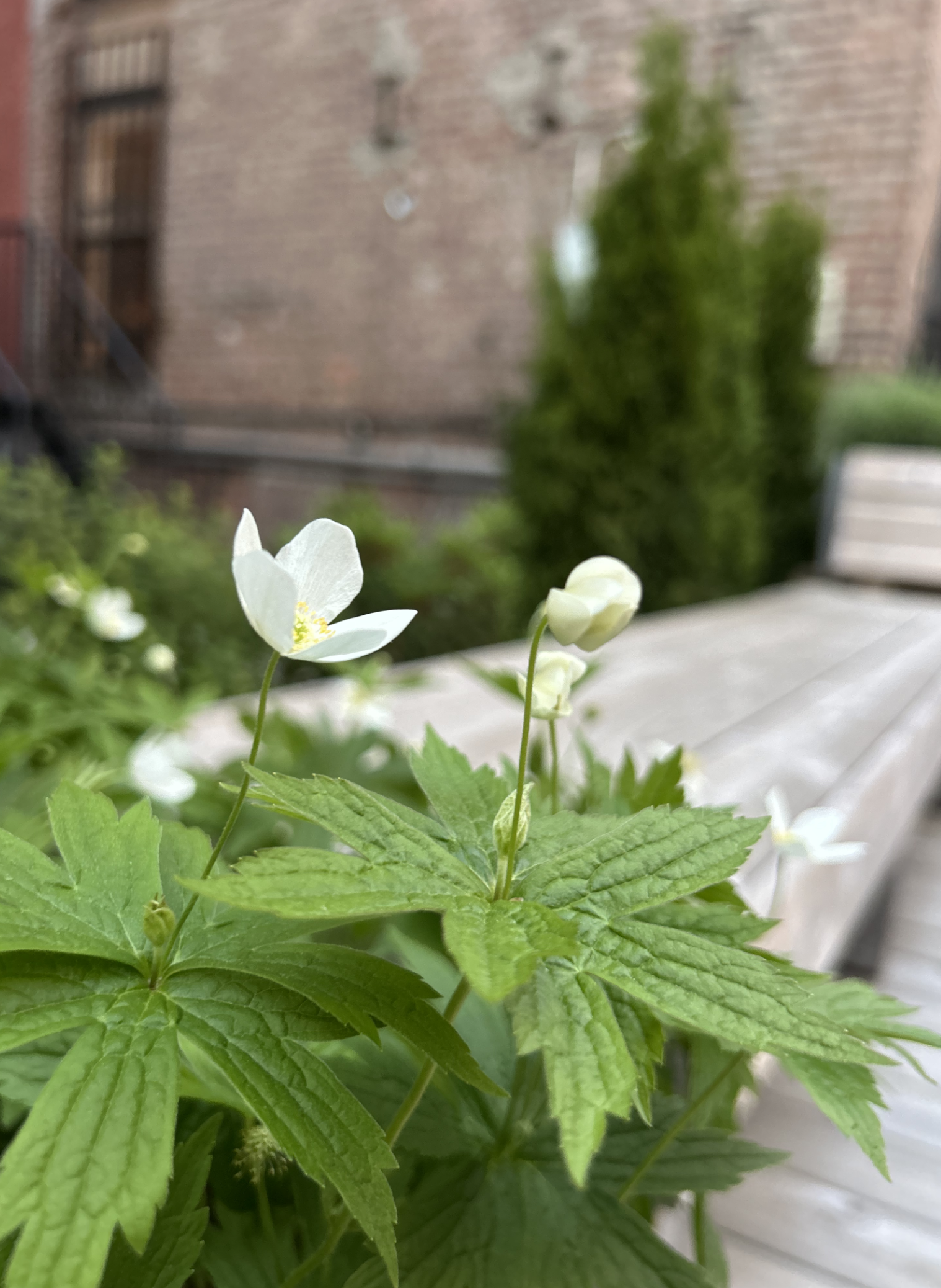 Screenshot 2026-03-05 at 5.48.10 PM.png