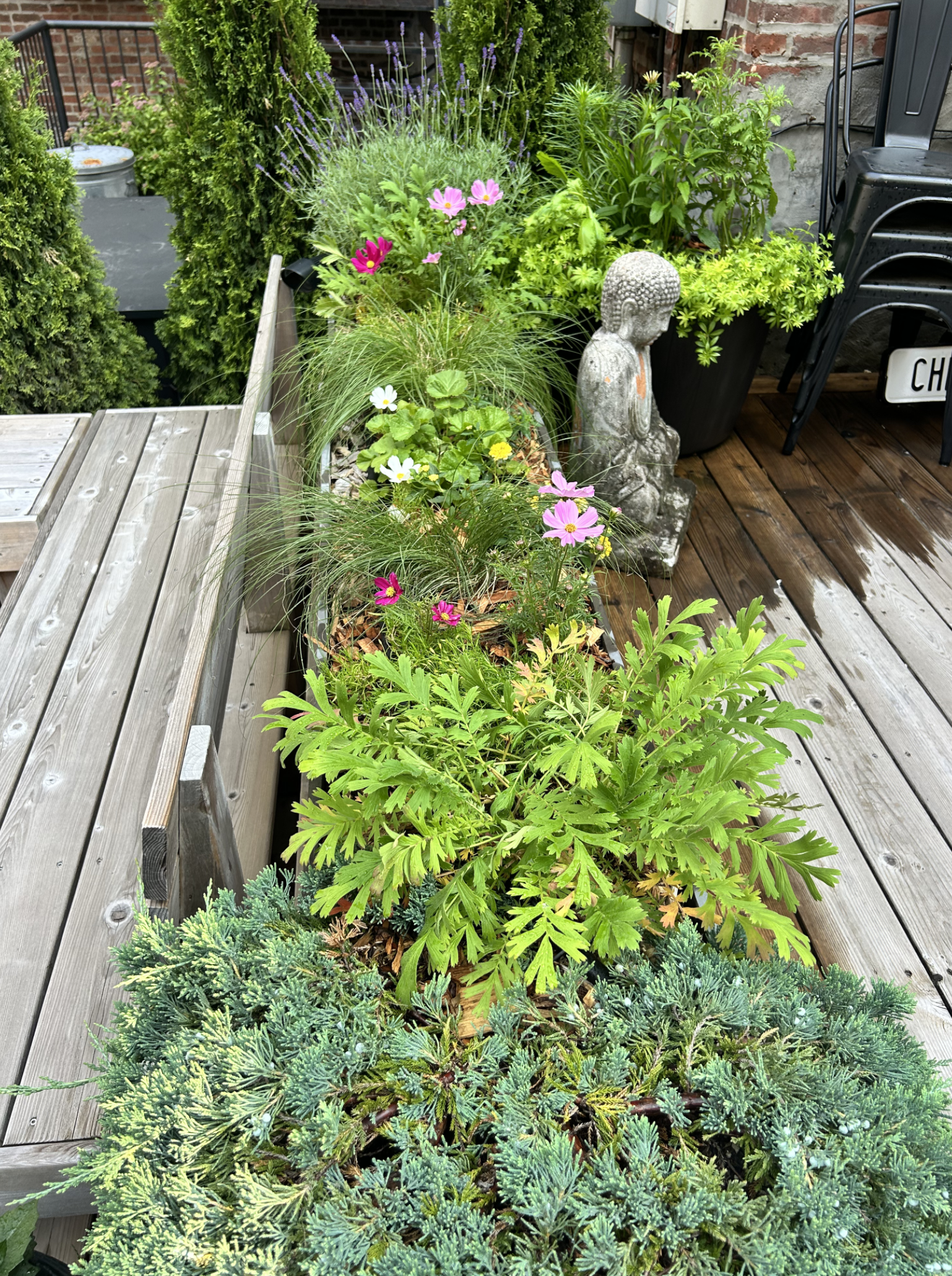 Screenshot 2026-03-05 at 5.46.33 PM.png