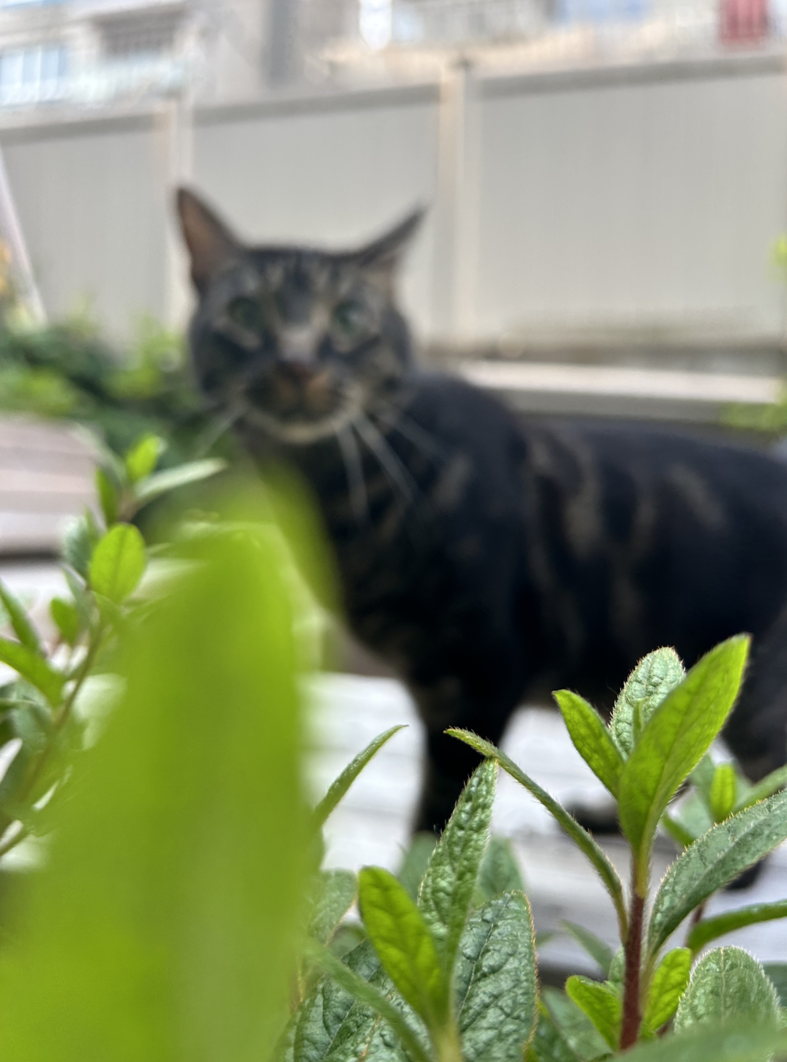 Screenshot 2026-03-05 at 5.47.11 PM.png