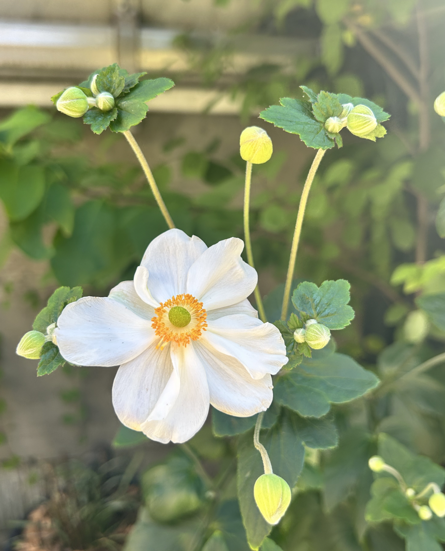 Screenshot 2026-03-05 at 5.42.01 PM.png