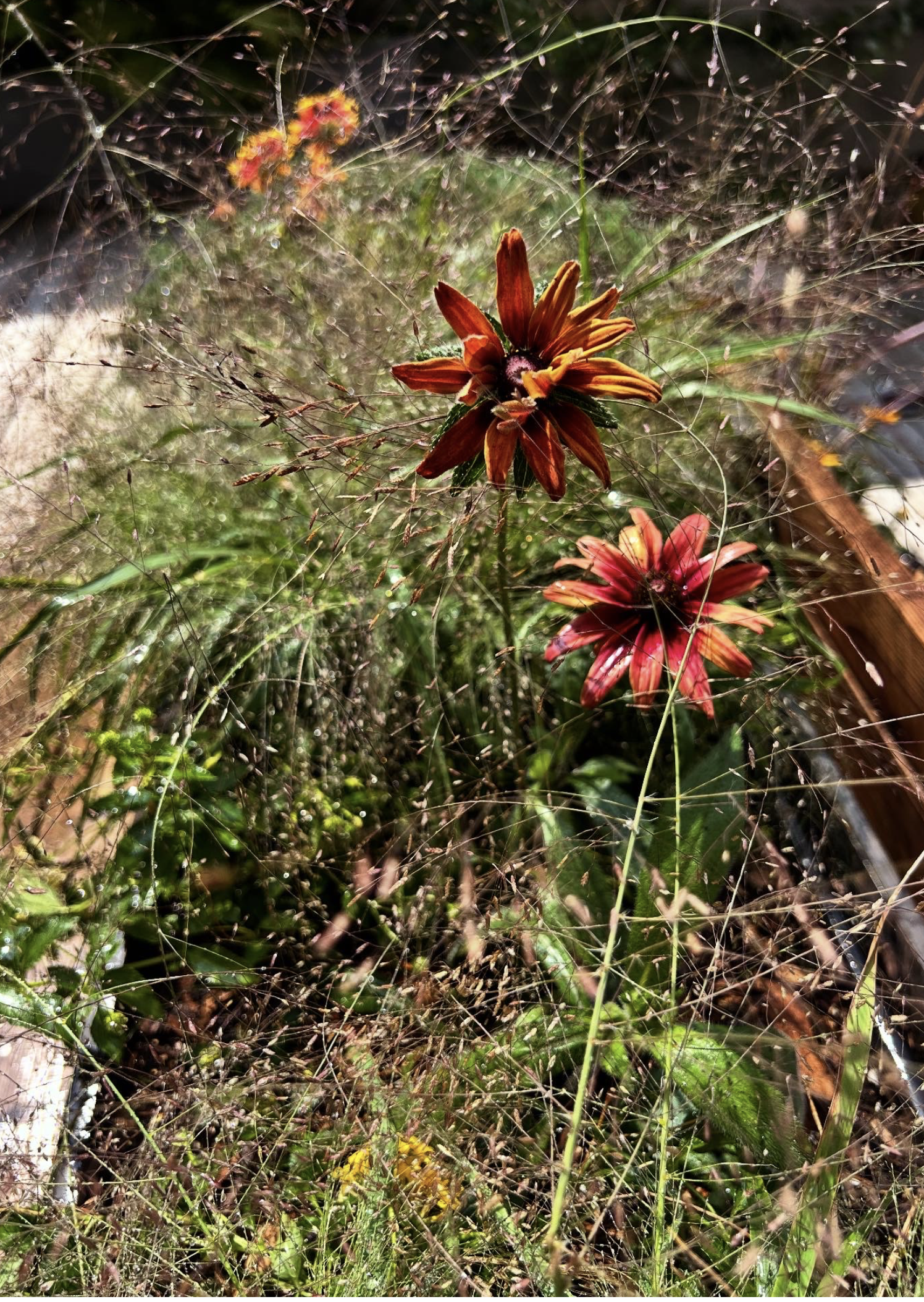 Screenshot 2026-03-05 at 5.43.29 PM.png