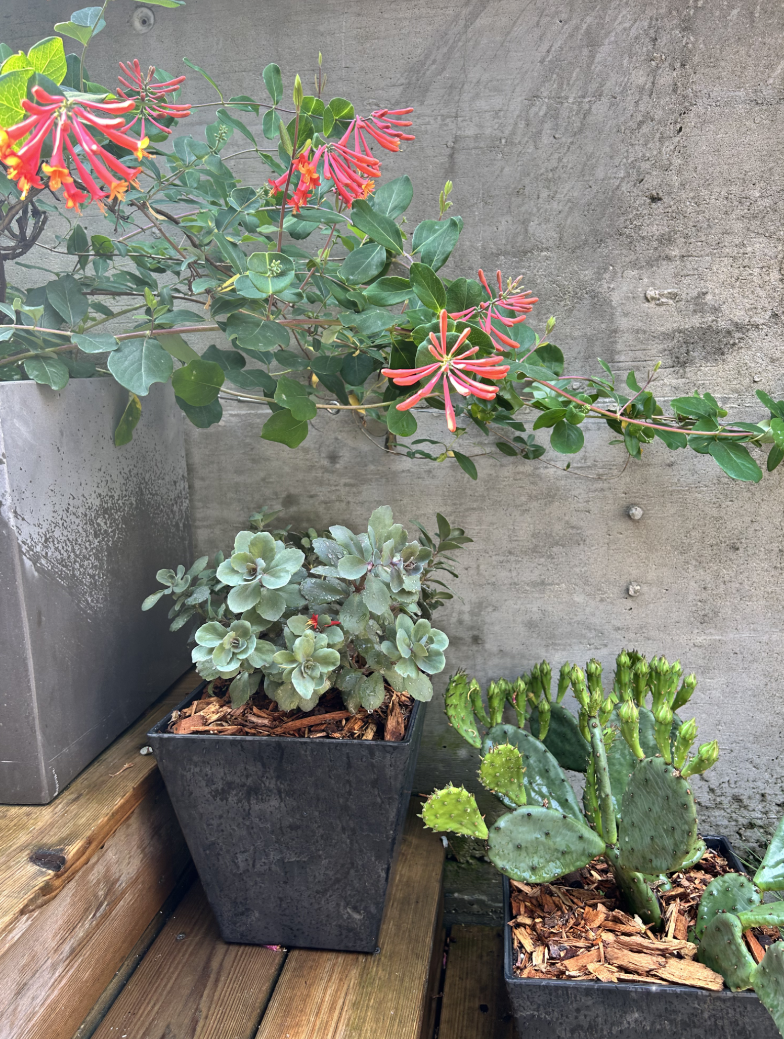 Screenshot 2026-03-05 at 5.46.25 PM.png