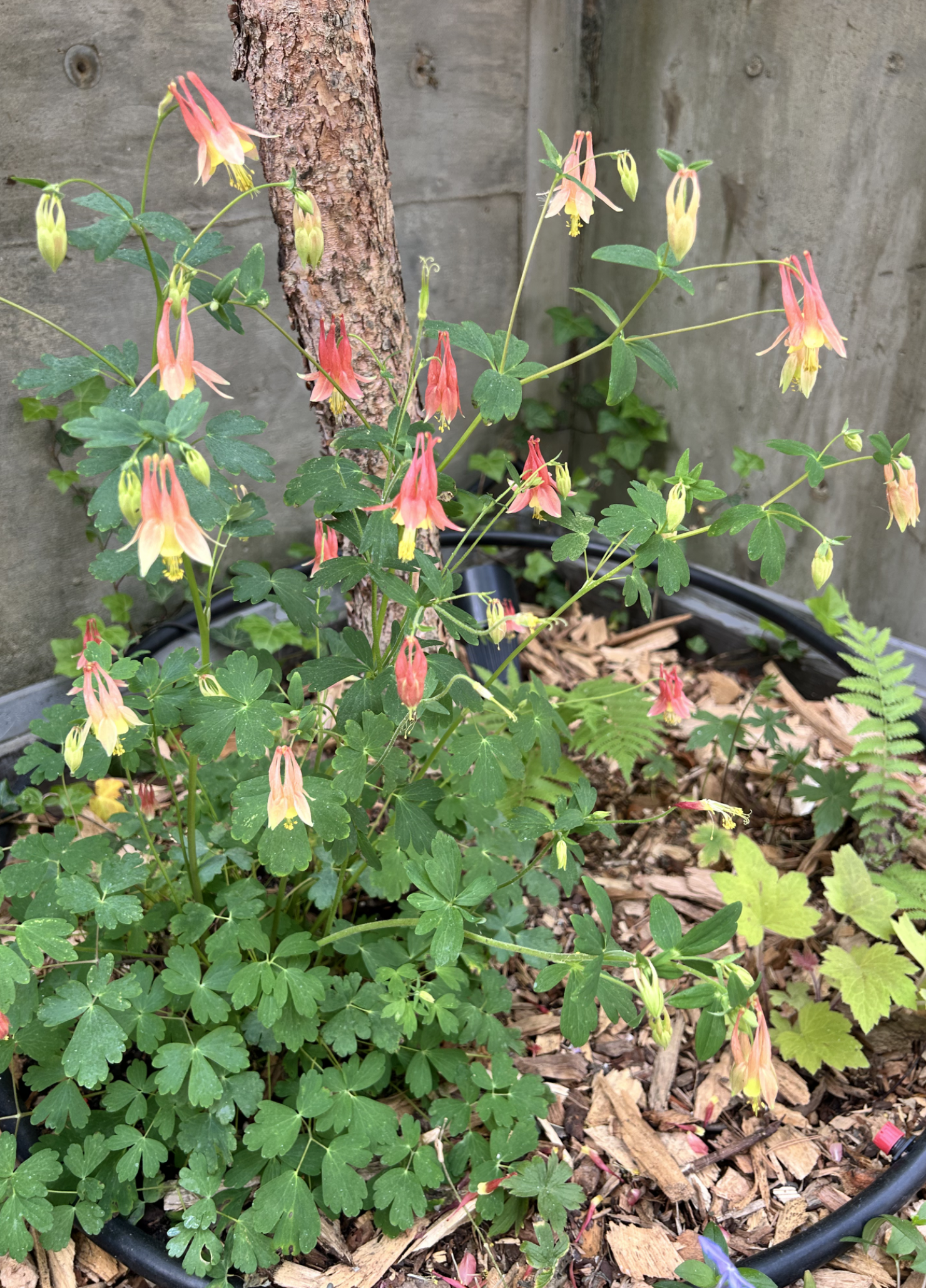 Screenshot 2026-03-05 at 6.04.27 PM.png