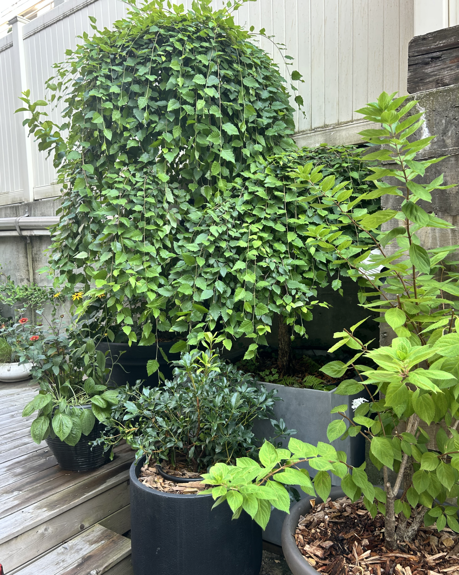 Screenshot 2026-03-05 at 6.05.55 PM.png