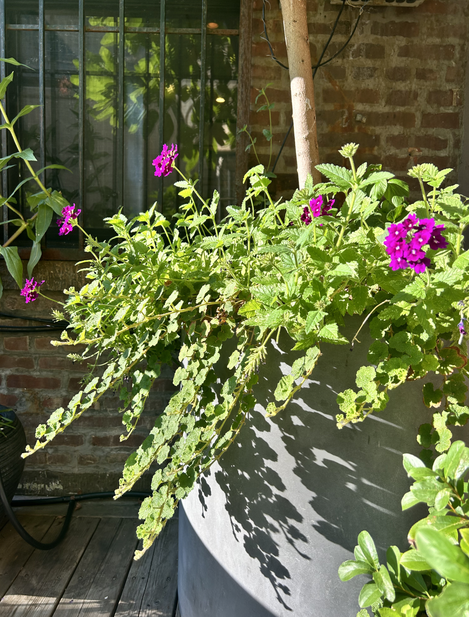 Screenshot 2026-03-05 at 5.41.51 PM.png