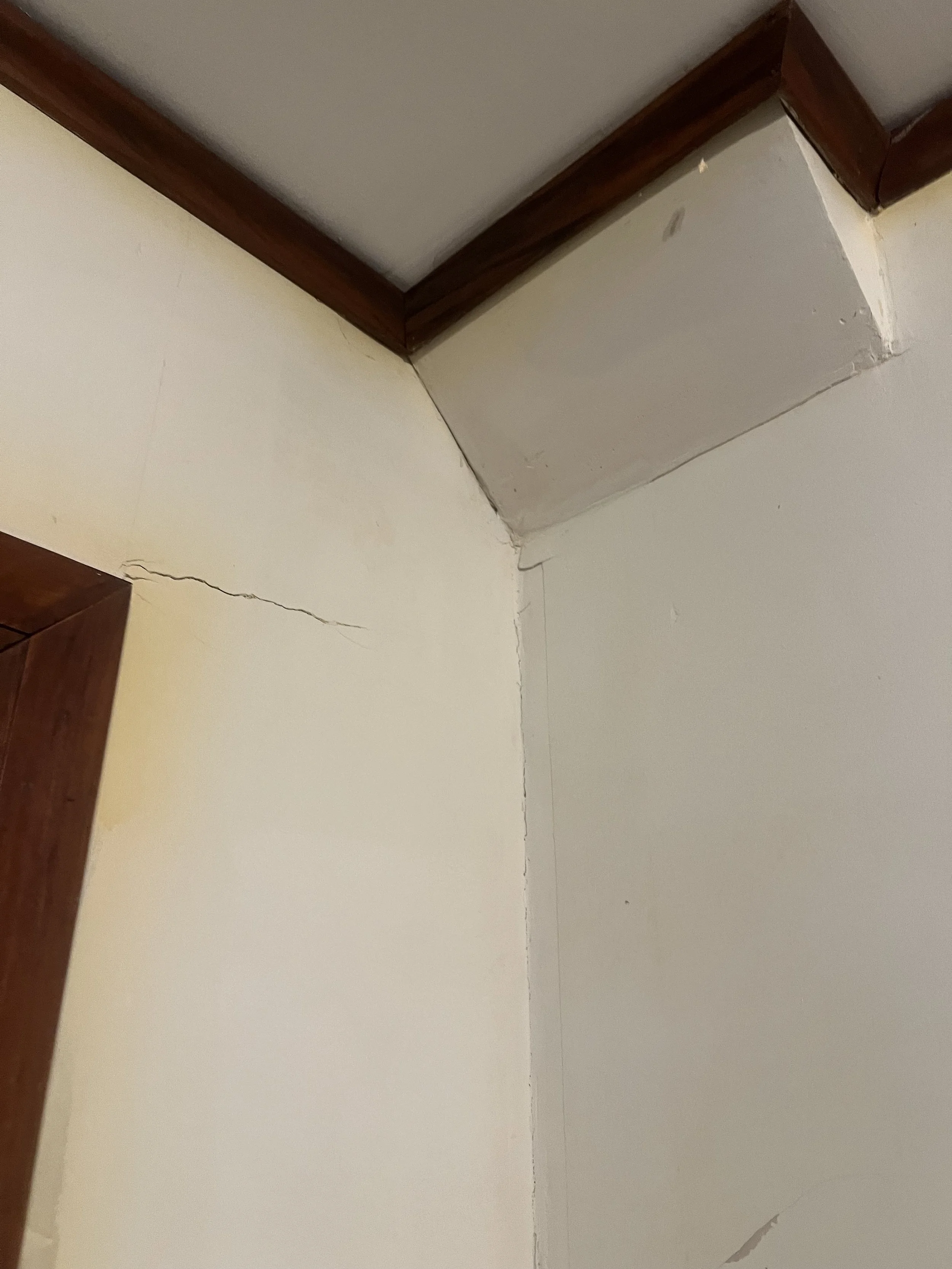 IMG_1544.jpeg