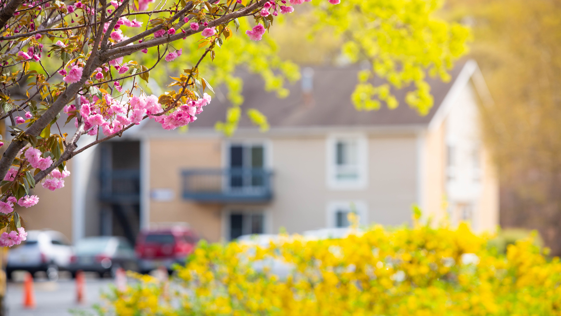 Thinking of Selling This Spring? What Rhode Island Homeowners Should Do Right Now to Be Ready