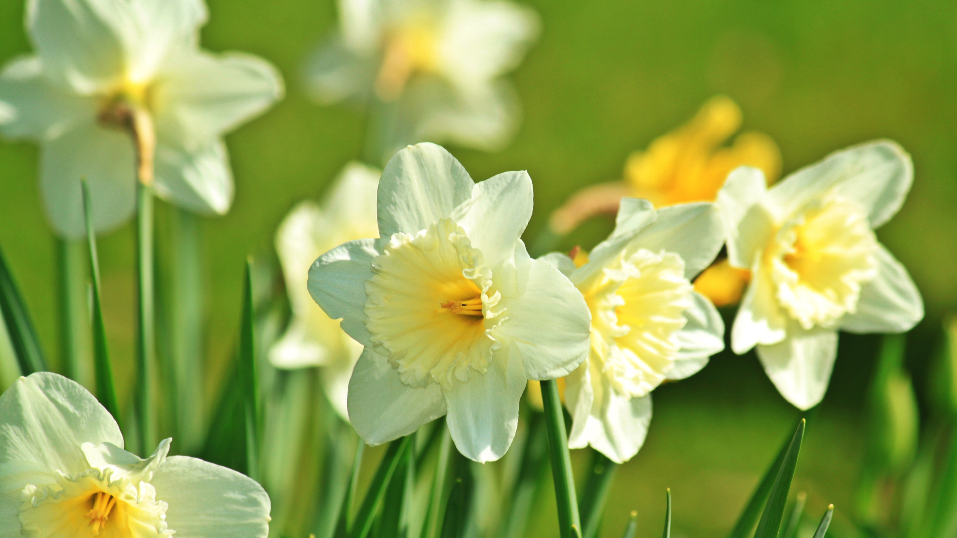 Rhode Island Homeowners: Your Spring Maintenance Checklist After Winter