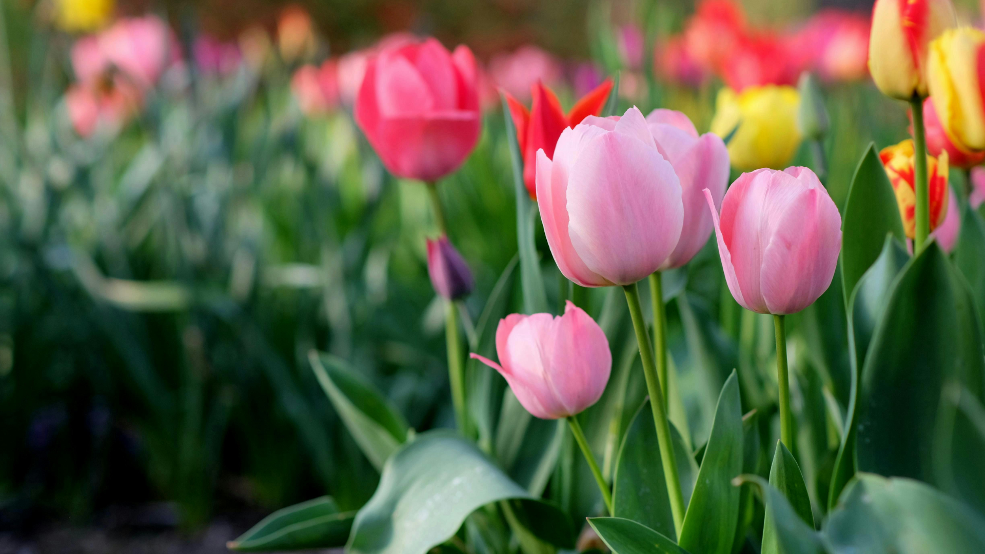 Selling Your Rhode Island Home in Spring 2026: What Buyers Are Looking for Right Now