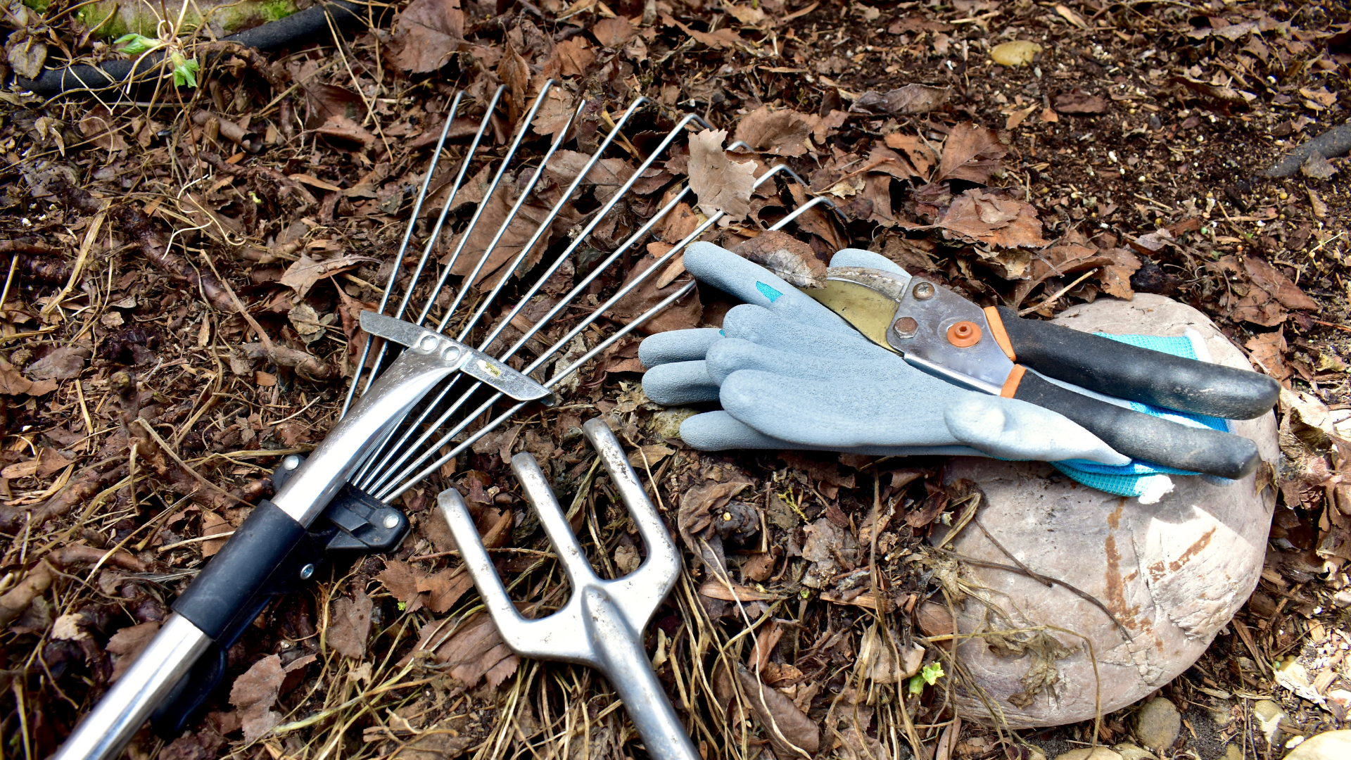 Spring Cleanups That Make Your Rhode Island Listing Shine