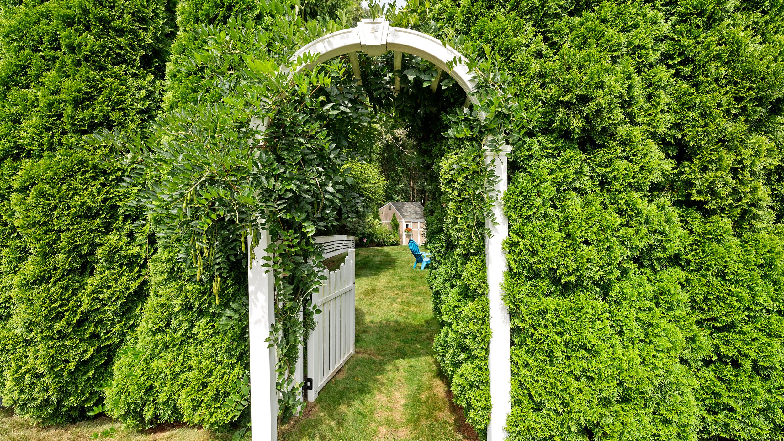 52-Trellis.jpg