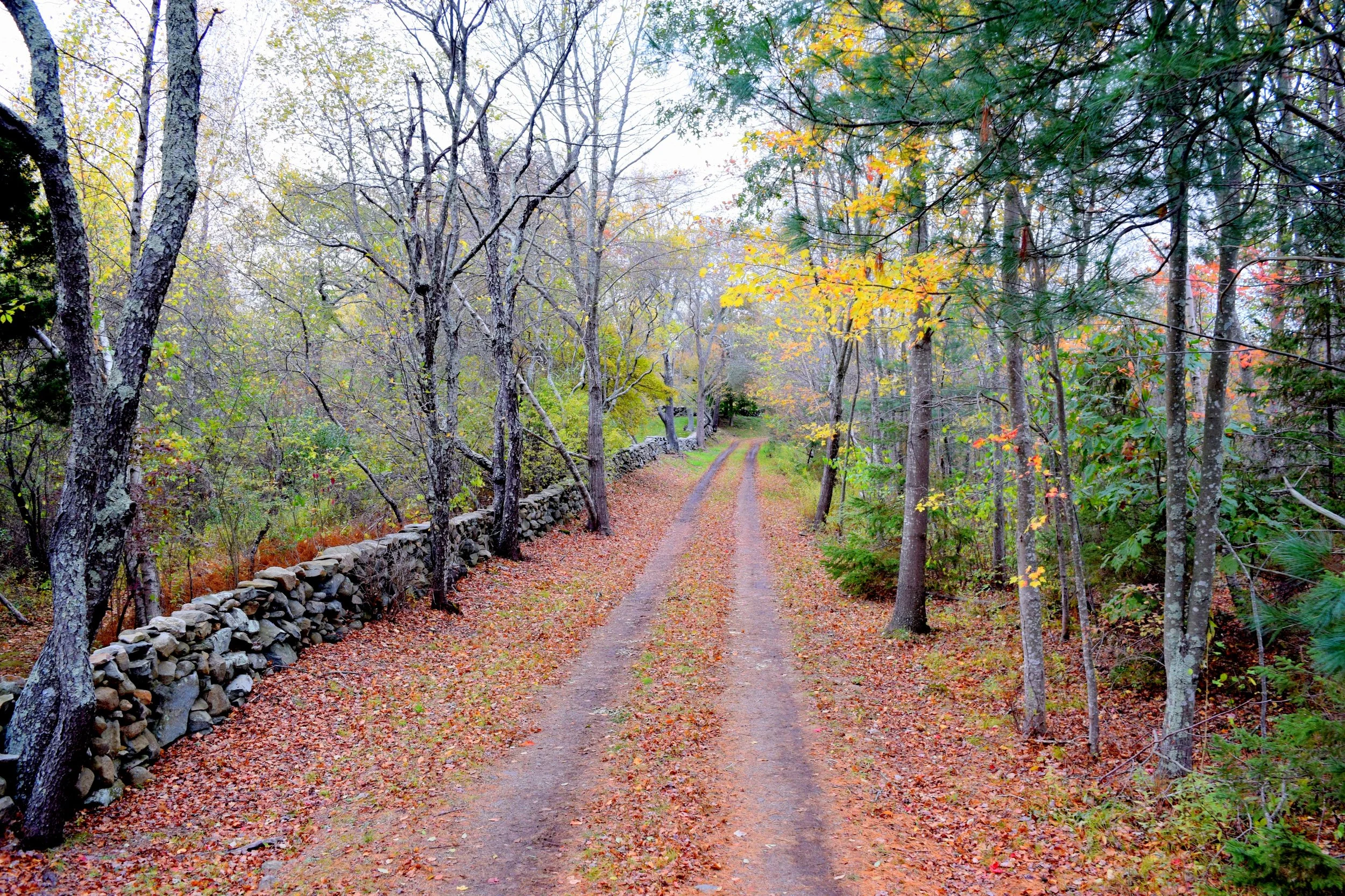 Where to Find RI’s BEst Leaf Peeping spots